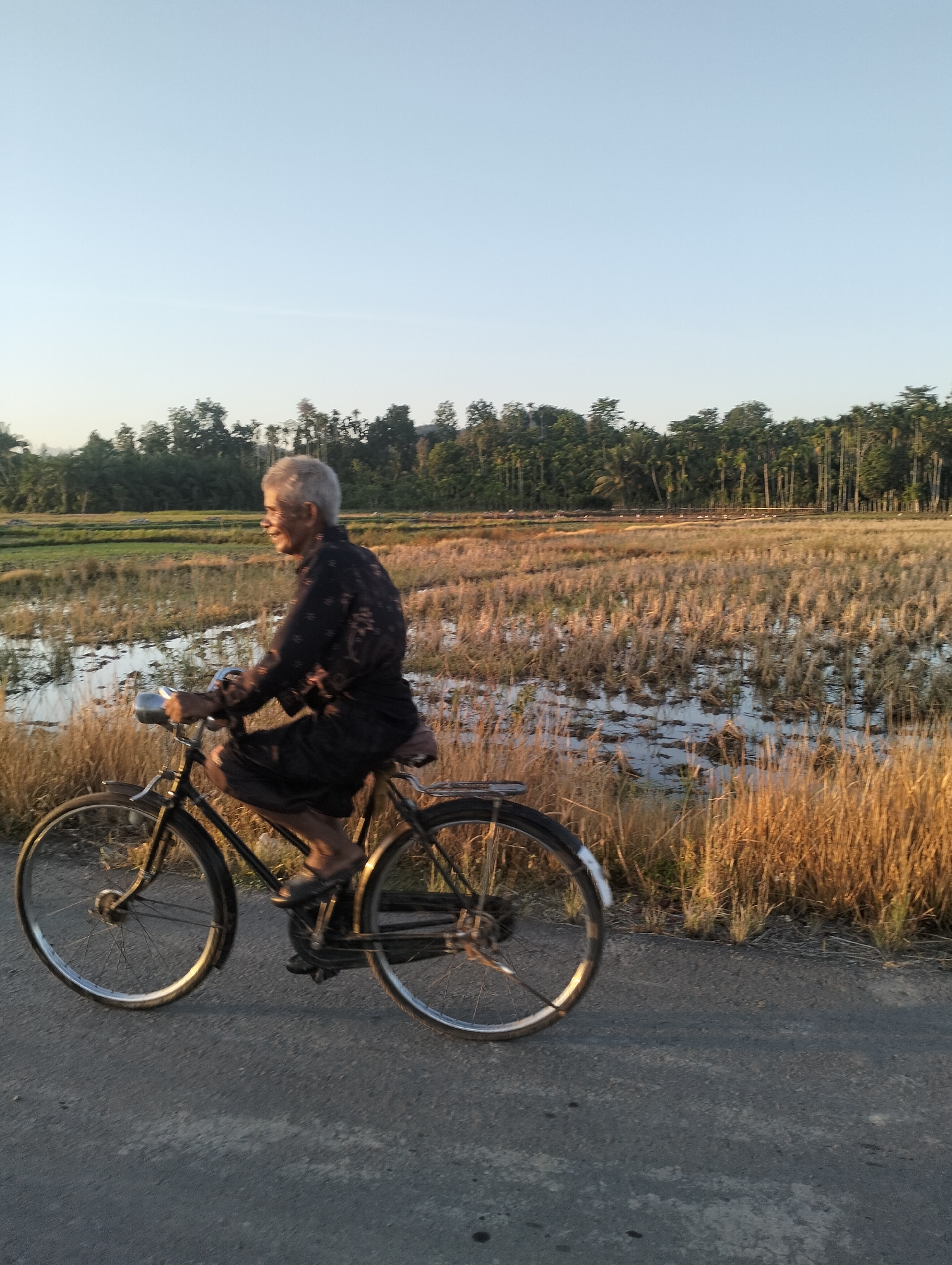 A medium shot captures an elderly individual with gray hair riding a bicycle on an asphalt road. The person is wearing a dark, patterned long-sleeved shirt and dark pants, with their feet in sandals. They are looking to their left, with a slight smile. The bicycle is dark-colored with silver accents on the handlebars and spokes. To the right of the road is a dry, reaped field with patches of water and tall, golden-brown grass. A line of lush green trees forms the horizon behind the field, with a clear, pale blue sky above. The scene appears to be set in a rural area, possibly Meunasahalue, Indonesia, given the distinct vegetation and the farming landscape. The lighting suggests it is either early morning or late afternoon.