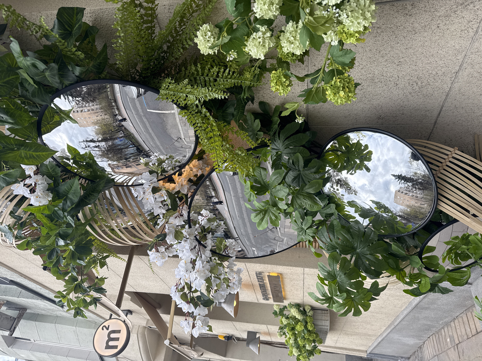 The image displays a vibrant, vertically oriented outdoor decorative arrangement, likely adorning the exterior of a commercial establishment. Several circular mirrors with black frames are strategically placed among an abundance of artificial greenery and flowers.
The artificial foliage includes various types of green leaves, such as ferns and broad-leaved plants, along with clusters of white, bougainvillea-like flowers and light-green, spherical blossoms resembling hydrangeas. Each mirror reflects an urban street scene, collectively showing a curved road, several buildings (one prominent light-colored, multi-story structure), leafless trees, and a cloudy sky. A dark vehicle or figure can be vaguely seen on the reflected street.
The decorative elements are mounted against a light-colored, granular stone building facade. Portions of a light-toned wooden or bamboo lattice structure are also visible, contributing to the aesthetic. Two pendant light fixtures hang from an overhead awning or ceiling structure. Near the bottom left, a circular, illuminated sign clearly displays "m²". Further back, a rectangular sign is partially visible, reading "MODERN KITCHEN".
The scene suggests a modern cafe or restaurant entrance, designed to be inviting. The time of day appears to be daytime, under an overcast sky. No specific human activity is depicted; the focus is on the elaborate decor. The overall impression is one of urban aesthetic and contemporary design.