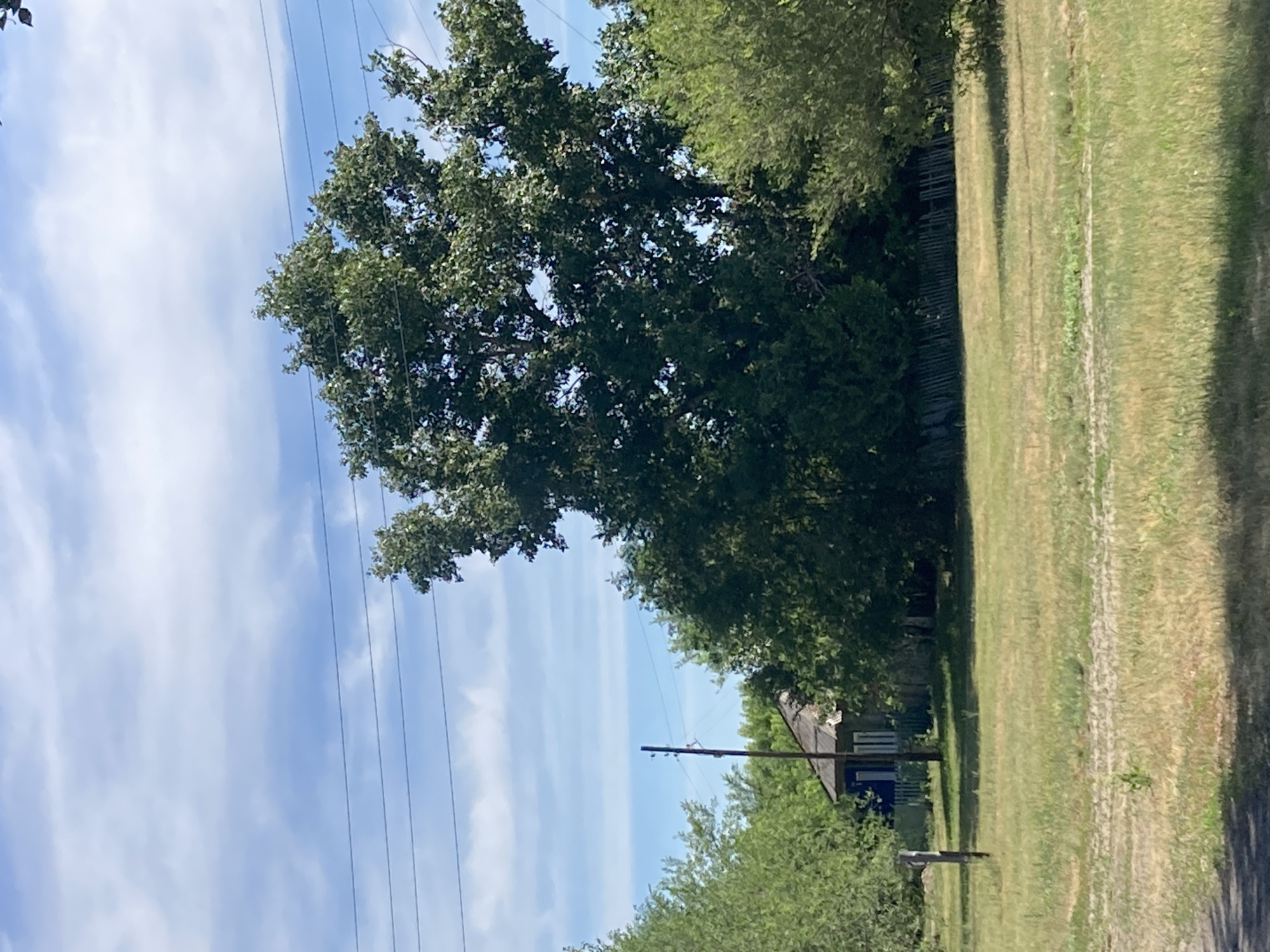 The image depicts a rural scene with a small wooden house partially obscured by trees. A tall utility pole stands to the left of the house. The foreground is a grassy field, and power lines are visible across the top of the frame against a blue sky with scattered clouds. The location is identified as the village of Rakity, Russia.