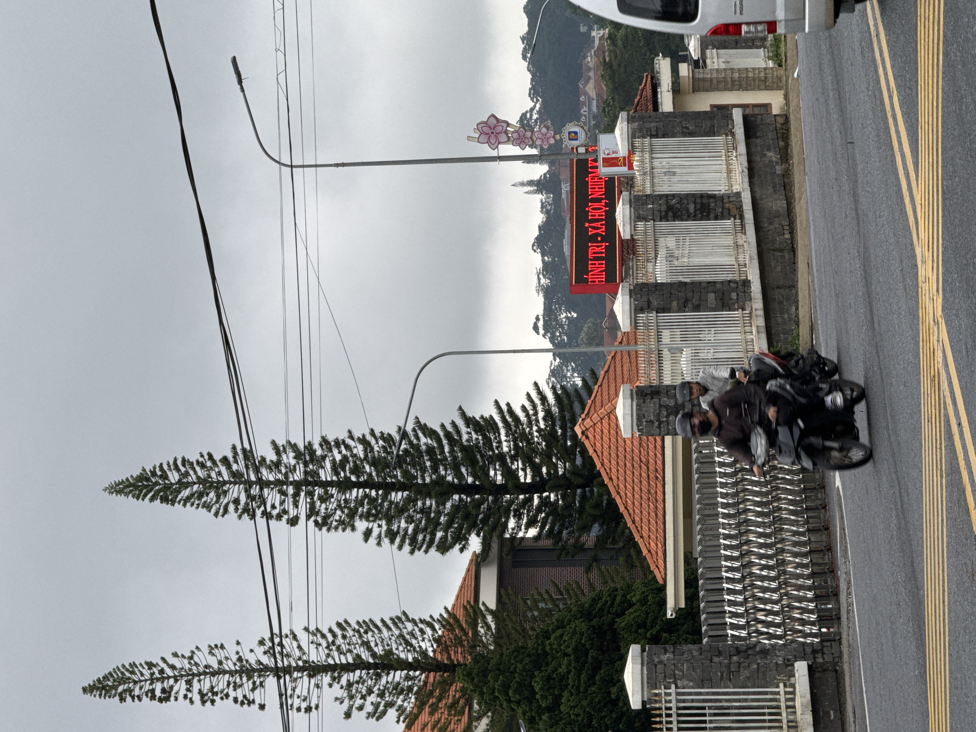 The image captures a street scene on an overcast day, likely in Da Lat, Vietnam, as indicated by the location context and visible text. The perspective is slightly elevated, possibly from a vehicle.
In the foreground, a paved road with distinct double yellow lines runs horizontally across the lower right. Two individuals wearing helmets are seen riding motorcycles on this road, moving towards the right. To the left of the road, there are stone fences enclosing properties with buildings featuring orange-tiled roofs. Two tall, slender pine trees rise prominently on the left, reaching high into the grey sky. Multiple black power lines crisscross the upper left portion of the frame.
In the mid-ground, on the right side of the street, more stone fences and buildings are visible. A bright red LED sign displays Vietnamese text: "HÌNH TRỊ - XÃ HỘI, NHIỆM VỤ" (Politics - Society, Duty/Task). Above this sign, a street light pole is adorned with decorative pink floral shapes, possibly cherry blossoms. The background reveals rolling hills covered in trees and scattered houses, all under a uniformly grey, cloudy sky. A portion of a white van is visible at the very top right edge, suggesting the photo might have been taken from inside or beside a vehicle.