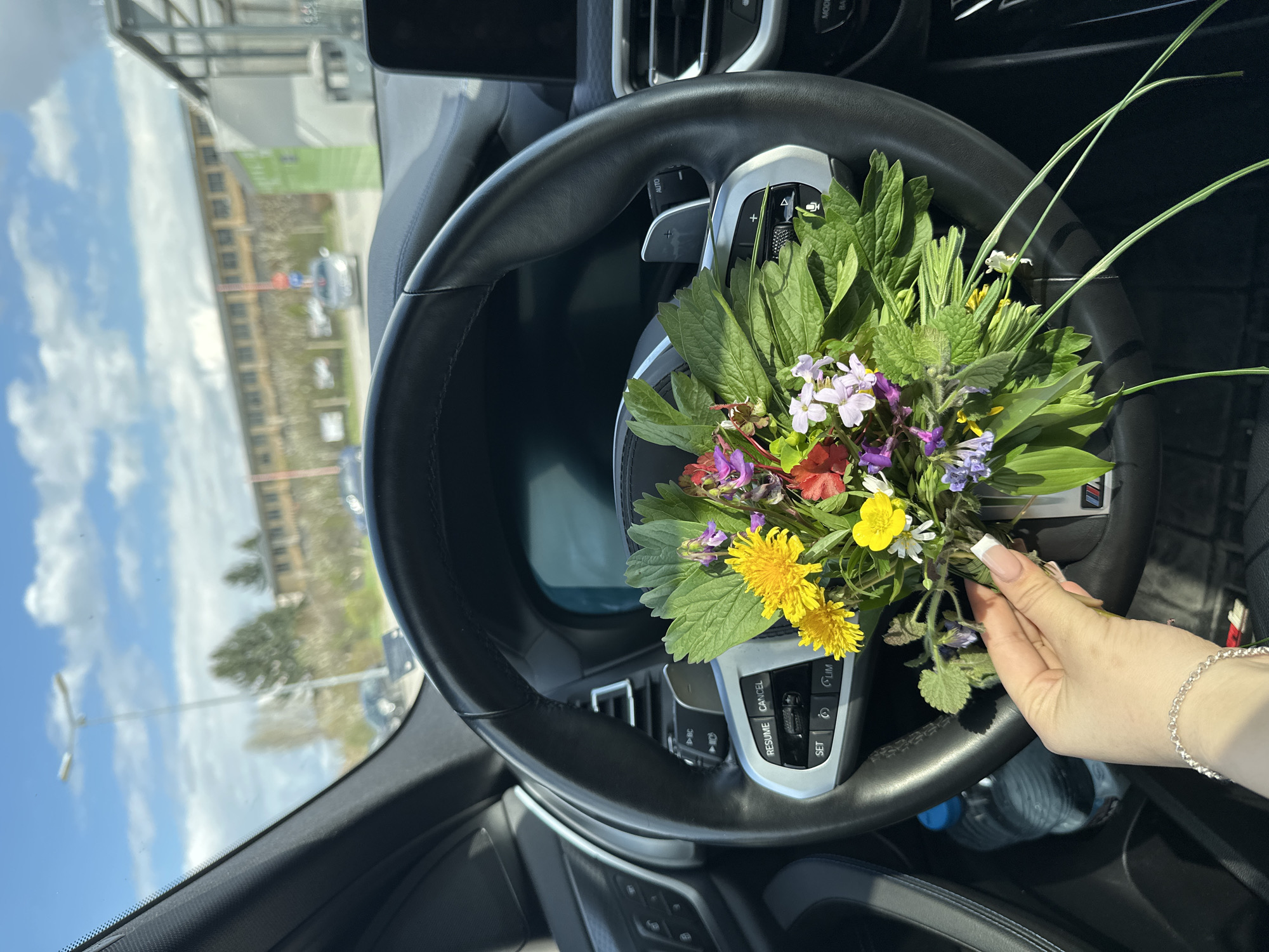 The image shows the interior of a car, specifically the steering wheel, which is adorned with a bouquet of wildflowers. The bouquet includes yellow dandelions, red, purple, and white wildflowers, and various green leaves. A hand with a silver bracelet and manicured nails is holding the bouquet. In the background, visible through the windshield, is a building and sky, suggesting an outdoor setting. A water bottle is visible near the steering wheel. While the image does not explicitly indicate a location in Targovishte, Bulgaria, this cannot be confirmed or denied without additional context or information.