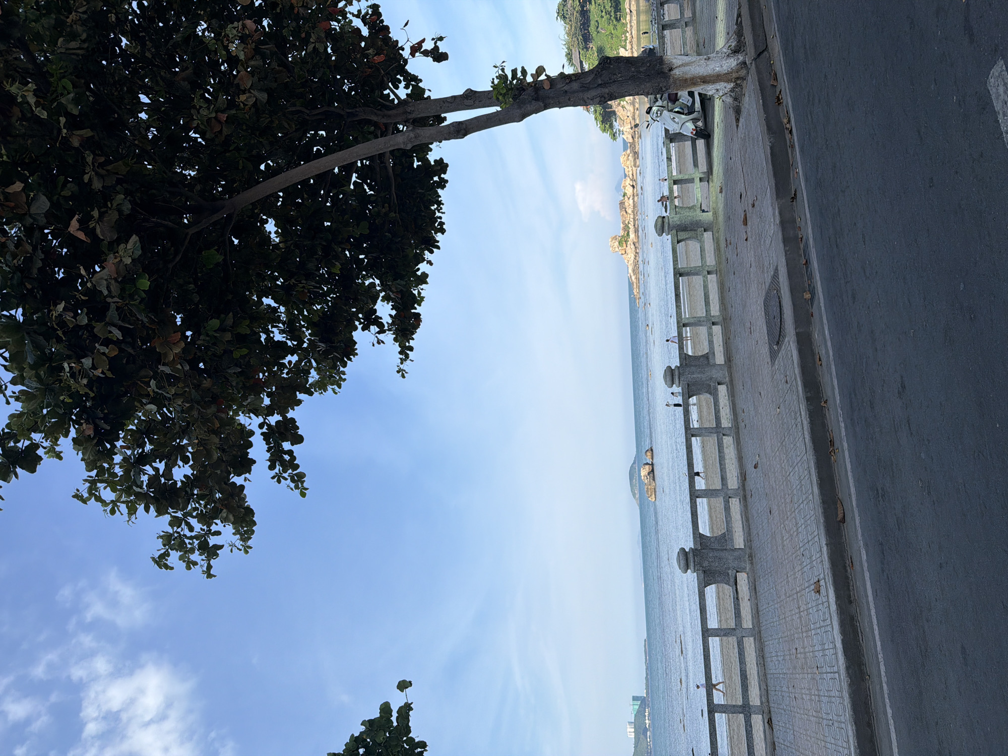The image depicts a scene along the coast of Nha Trang, Vietnam, specifically near Bac Nha Trang Ward. A paved walkway runs parallel to a beach, separated by a low concrete railing adorned with decorative posts. A large tree with dark green foliage dominates the foreground, its trunk marked with white paint. To the right of the tree, a white scooter is parked on the walkway. The beach itself is visible, with a few people strolling along the shore. The sea stretches out to the horizon, dotted with rocky outcrops and a small island. In the distance, buildings and structures indicate the presence of the city. The sky is a clear blue with a few wispy clouds.