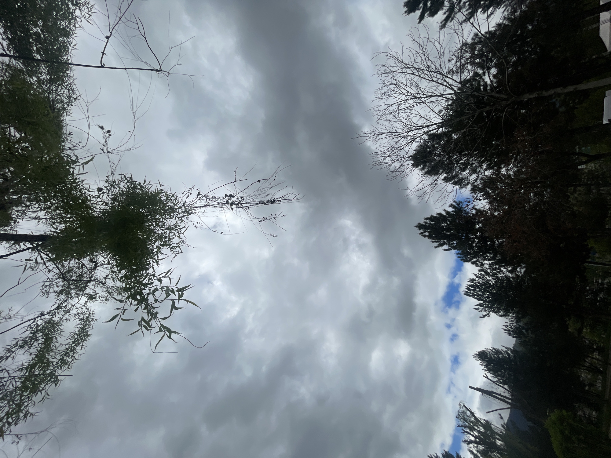 The image captures a view looking upwards towards a cloudy sky, bordered by the silhouettes of trees on the sides. The sky is predominantly overcast with varying shades of gray clouds, though there are a few patches of blue peeking through. The trees on the left have foliage, some of which are sparse and spindly, while the trees on the right are denser. The location is Karabük, Turkey. No people, actions, or interactions are visible in the scene.