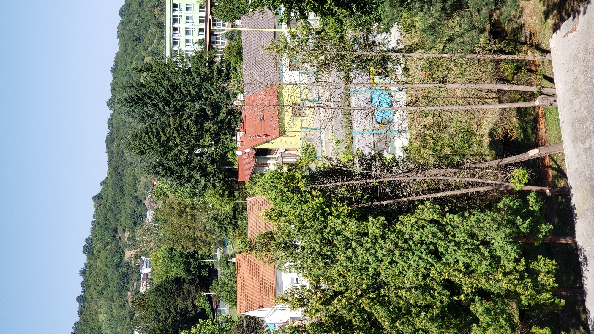 The image shows a view of houses and trees with a hill in the background. In the foreground, there are several tall, thin trees, some of which appear dead or have had their branches removed. Behind these trees, there are several residential buildings with red and yellow roofs. Further in the background, a larger, light green building with many windows is visible, along with a densely wooded hill. The sky is clear and blue. The location is identified as Prešov, Slovakia, specifically the area around the Kúpeľná street, near the spa complex.