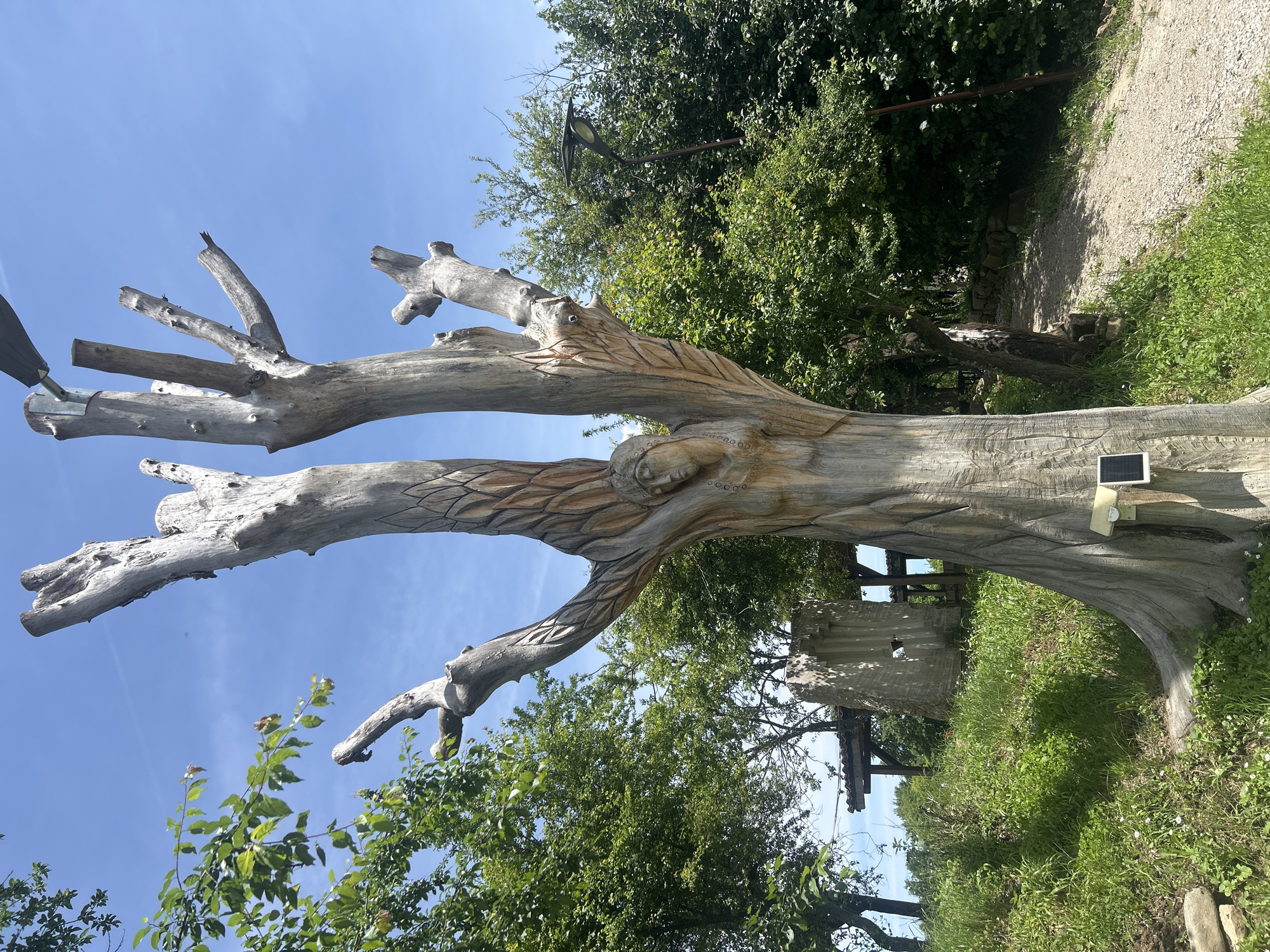 This image captures a large, intricately carved wooden sculpture resembling a gnarled, multi-branched tree, set against a vibrant blue sky on a clear day. The sculpture is the central focus, its main trunk featuring an elaborate anthropomorphic face or figure with stylized patterns suggestive of leaves or scales. The wood appears weathered and light-colored, indicating outdoor exposure. Its various branches extend outwards, some appearing to be natural, repurposed limbs, while others show signs of carving.
Attached to the sculpture's main trunk on the right side is a small, rectangular black panel, possibly a solar panel or an informational plaque, though any text on it is illegible. Towards the upper left, a metallic object, possibly a weather vane or a decorative bird, is mounted on one of the higher branches.
The background is filled with lush green foliage from numerous trees and bushes, suggesting a natural or park-like environment. A winding gravel path is visible on the right side, bordered by grass and leading into the distant greenery. Further back, a rustic stone structure or ruins can be seen partially obscured by vegetation. The bright sunlight casts some shadows, indicating mid-day or early afternoon. The scene is static, with no human activity visible. This artistic installation is located in Gardevtsi, Bulgaria, blending natural elements with carved artistry.