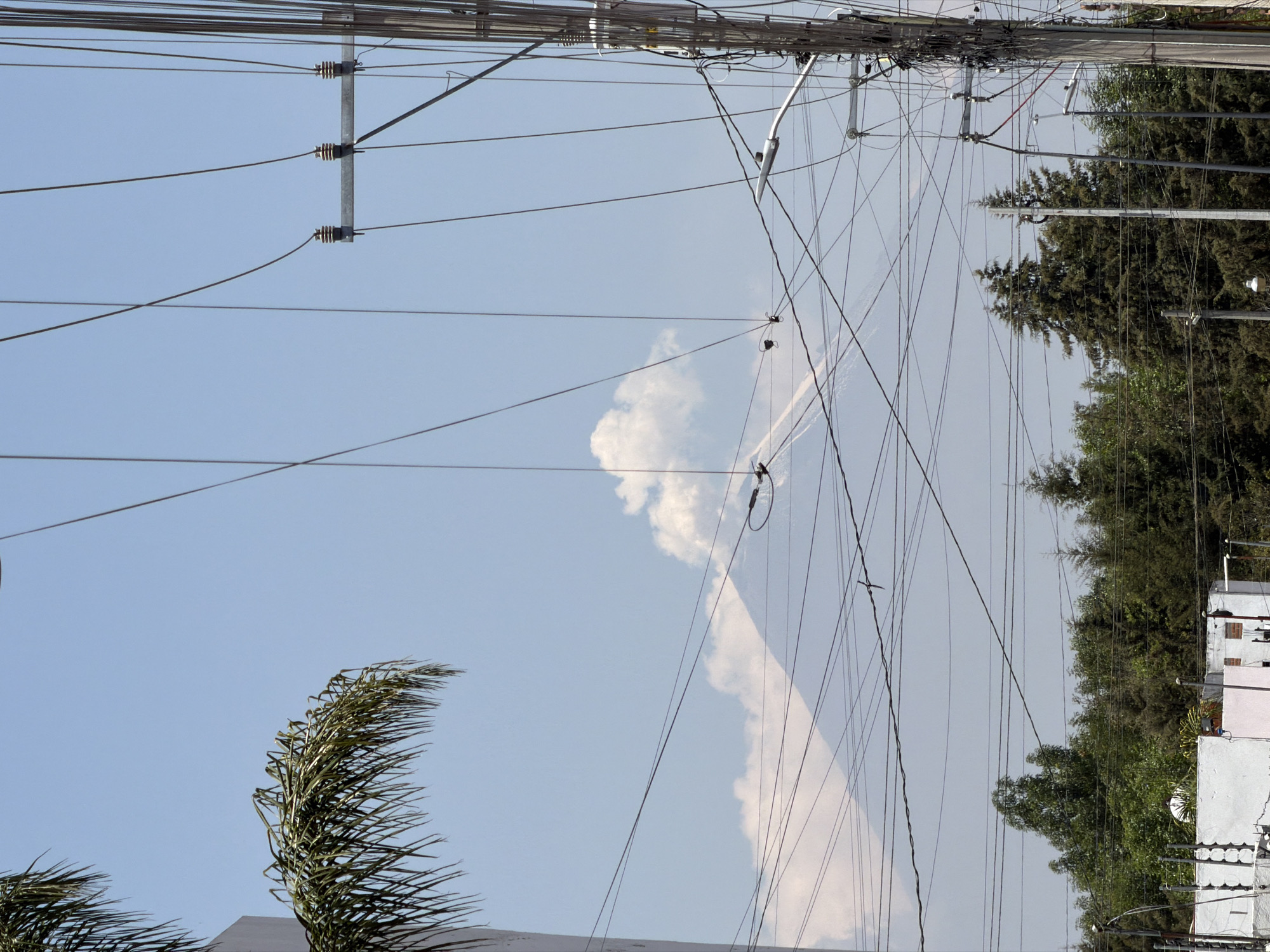 The image depicts a sky filled with utility poles and wires in San Andrés Cholula, Mexico. A palm tree is visible at the bottom left. A cloud is in the center of the frame. Trees and buildings are along the right side.