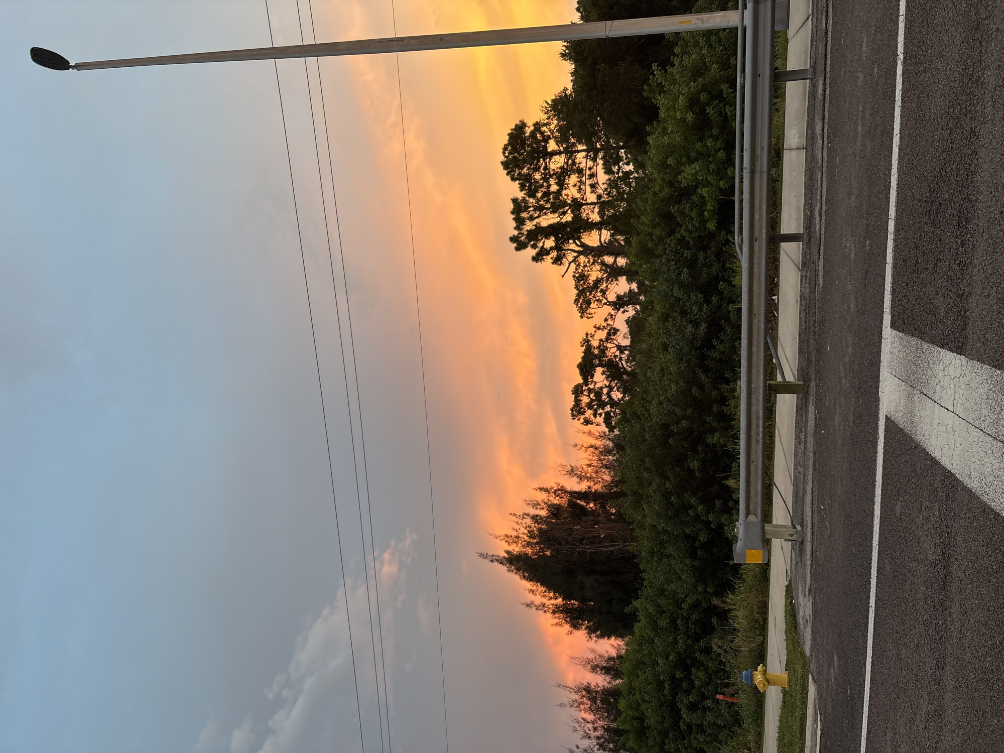 An exterior, eye-level, full shot captures a vibrant sunset over a dense green tree line in Venice, United States. The sky transitions from a soft blue at the top to fiery orange and yellow hues near the horizon. Silhouetted against the colorful sky are several tall, slender trees with jagged, pointed tops, and broader trees with fuller canopies. A single, tall, grey utility pole with a dark lamp fixture stands to the right of the frame, its wires stretching horizontally across the upper portion of the image. Below the trees, a green shrubbery line runs along a sidewalk, bordered by a metal guardrail with reflective yellow markers. A bright yellow fire hydrant with a blue top is positioned on the grass next to the sidewalk on the left side of the image. In the foreground, a section of dark asphalt road with white lane markings is visible. The scene appears to be captured during twilight, likely on a street or highway adjacent to a natural area.