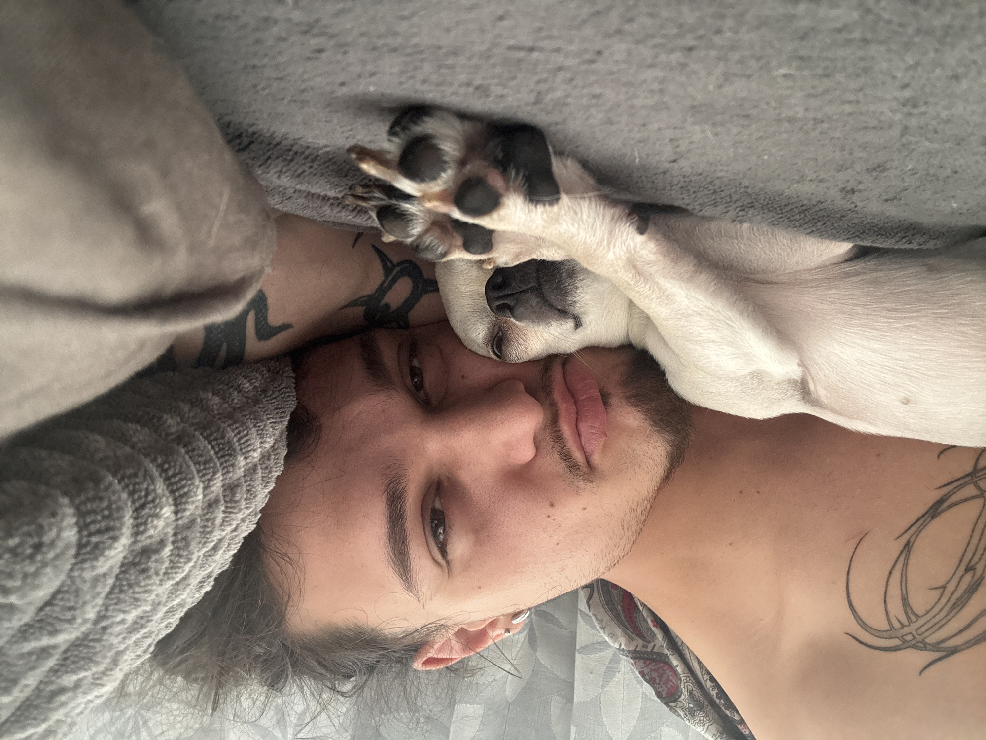 The image displays a male individual and a small dog resting together on a bed or sofa, located in Sofia, Bulgaria. The man, a young adult with dark, somewhat disheveled hair and stubble, is positioned on his left side, gazing directly at the viewer. He exhibits a silver-colored helix piercing in his left ear. A prominent black tribal-style tattoo is visible on his left shoulder and upper chest, with another black tattoo partially observed on his right arm, obscured by a gray, textured blanket. He is bare-chested.
Cuddled closely against his left side is a small, light-colored dog, predominantly white with black paw pads visible on its front paws. The dog appears to be sleeping, with its eyes closed and its head resting on the man's chest or shoulder, facing away from the camera.
Both subjects are situated on a soft, gray fleece-like blanket or throw that covers the underlying surface. Behind the man's head, a lighter patterned fabric, likely a pillowcase or sheet, is discernible. The background consists of an out-of-focus light-colored curtain or wall. The scene is illuminated by soft, natural light, creating a tranquil atmosphere. The interaction between the man and the dog denotes close companionship and comfort.