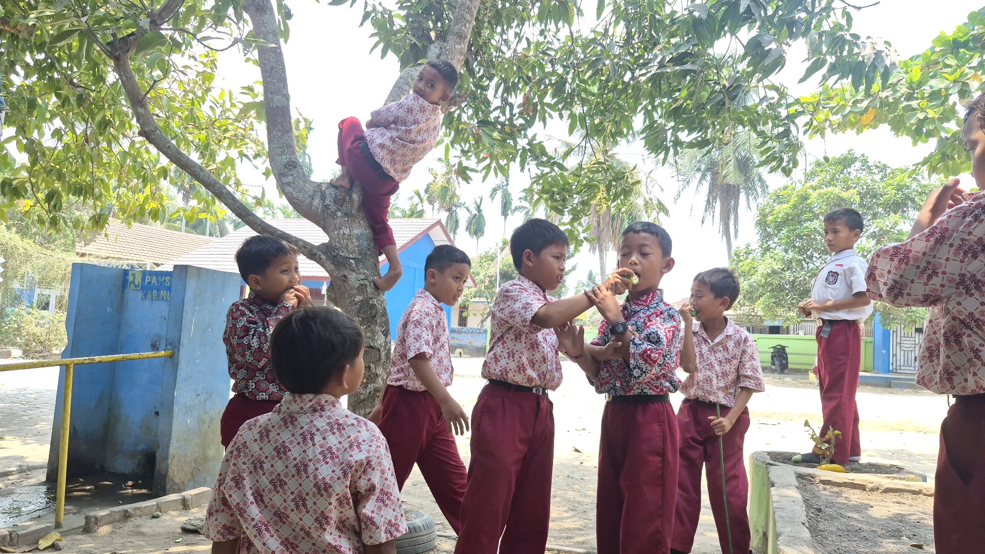 In Putak, Indonesia, a group of young boys in school uniforms are gathered outdoors. One boy is climbing a tree, while others stand on the ground. The school uniforms consist of a white shirt with a floral pattern and maroon pants. The environment appears to be a schoolyard, with a blue building in the background, a yellow fence, and a tree with green leaves. Some of the boys are interacting with each other, with one boy offering food to another. The scene suggests a casual and playful atmosphere among the students.