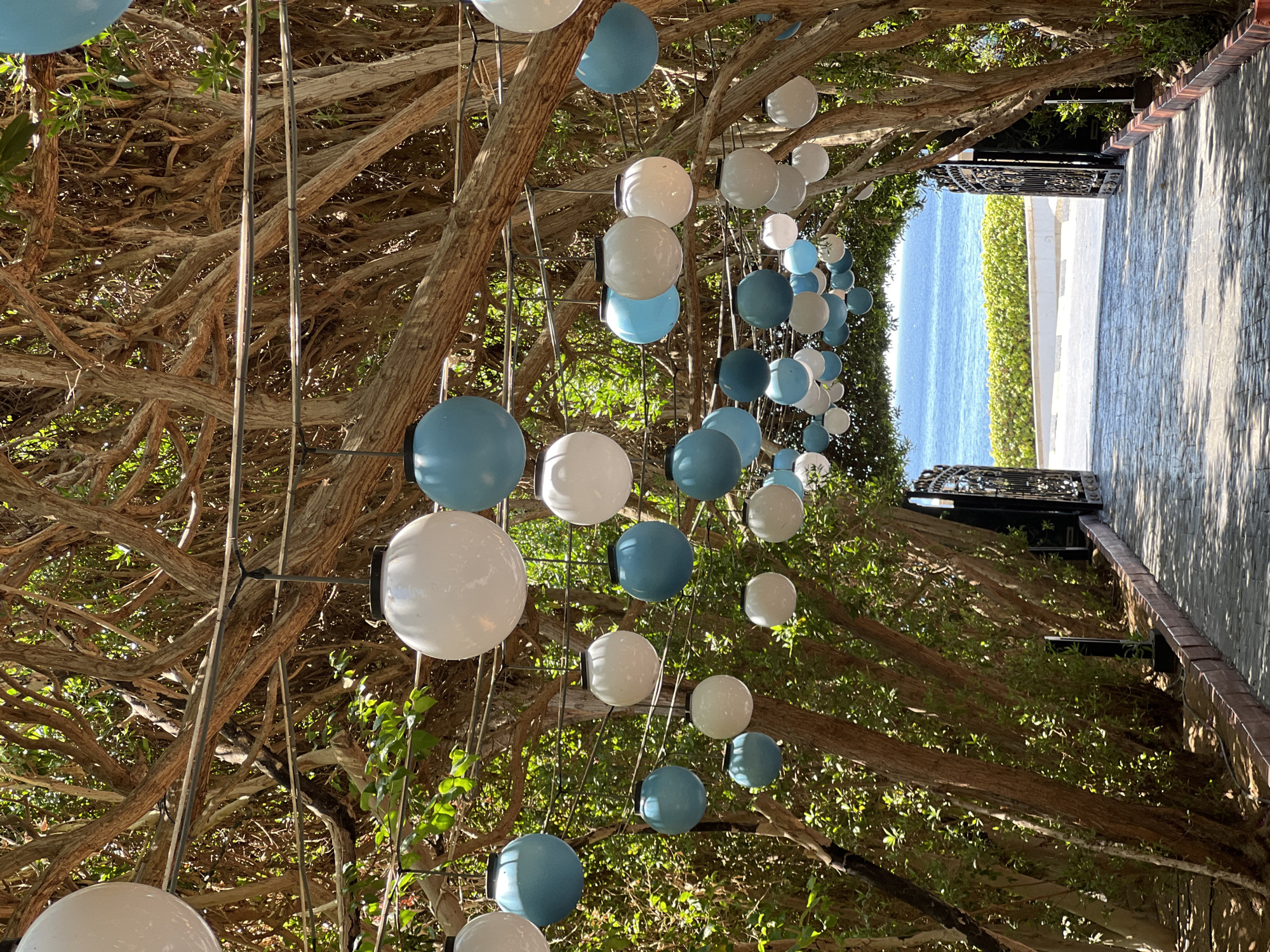 The image depicts an outdoor pathway leading towards the sea, framed by a canopy of intertwined tree branches and adorned with hanging spherical lanterns. The lanterns are a mix of white and teal, creating a decorative element overhead. The pathway is paved with interlocking stones, and flanked by dense green foliage and the trunks of trees on either side. In the distance, beyond an ornate black metal gate, a bright blue sea is visible, meeting a clear sky. The scene suggests a resort or a scenic overlook in a warm climate. The location is identified as Sharm El Sheikh, Egypt. There are no people or animals visible in the image.