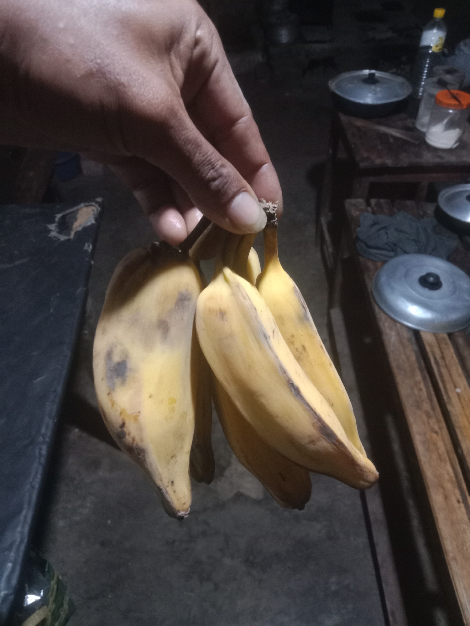 In Kedungsari, Indonesia, a hand with brown skin holds a bunch of ripe bananas. The bananas are yellow with some brown spots, indicating ripeness. The background suggests a dimly lit indoor environment, possibly a kitchen or dining area. Wooden furniture and metal pots are visible, along with a glass jar containing white powder and a plastic bottle of liquid. The scene appears to be a candid moment, focusing on the simple act of holding fresh produce.