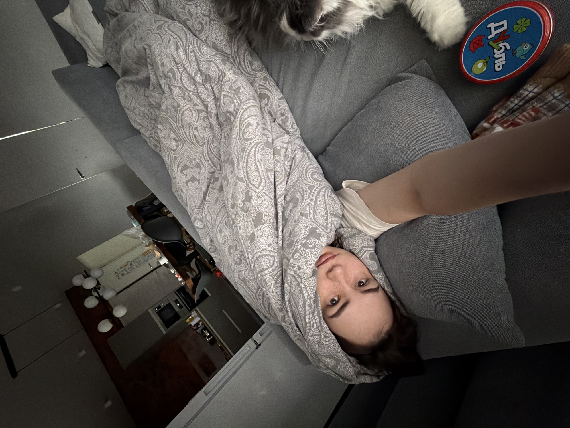 A person is lying on a gray couch covered in a gray paisley blanket. Only the person's head is visible peeking out of the blanket. A cat is seen in the top of the image, and a children's toy is also located on the couch. The person is lying in what appears to be an apartment in the city of Chaikovsky, Russia. A kitchen is visible in the background with a counter, oven, and hanging lights.