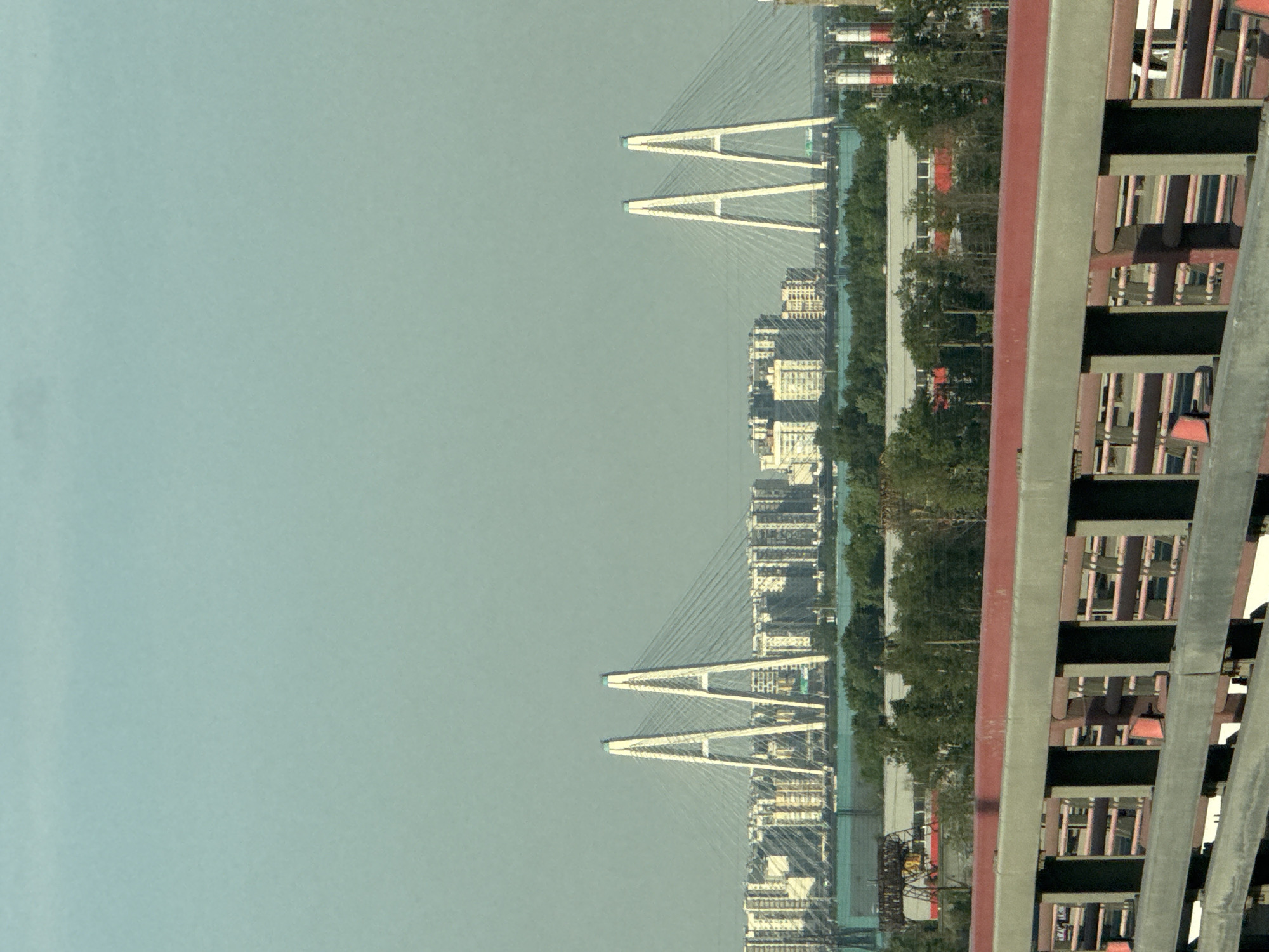 The image shows a panoramic view of the city of Saint Petersburg, Russia, on a clear, overcast day. In the foreground, a red and gray railing of a bridge or elevated walkway is visible. Beyond the railing, a dense line of trees separates the foreground from the middle ground. The middle ground is dominated by a vast cityscape with numerous apartment buildings, suggesting a residential area. In the background, a distinctive cable-stayed bridge with two tall, white pylons spans across a body of water. The pylons are a striking visual element, with numerous cables extending from them to support the bridge deck. The sky is a pale, hazy blue, indicating a bright but not intensely sunny day. The overall impression is one of a modern urban landscape characterized by large-scale infrastructure and residential development.