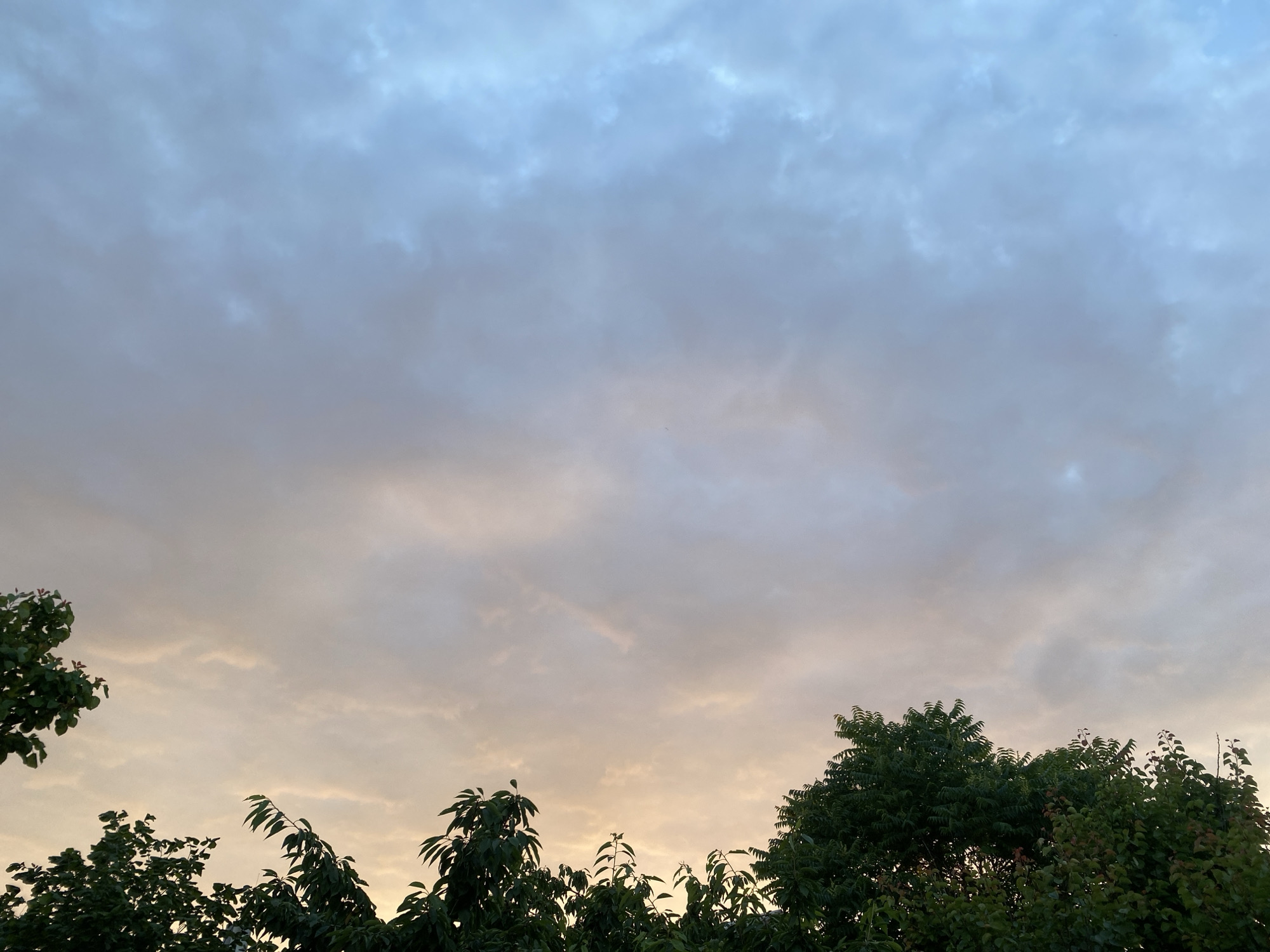 The image shows a view of the sky with clouds and the tops of trees in the foreground. The sky is a gradient of blues and oranges, suggesting it is either sunrise or sunset. The clouds are diffuse and scattered, with some areas appearing darker than others. The trees are lush and green, with dark green leaves. The overall impression is one of a peaceful, natural scene. There are no people or man-made objects visible in the image.