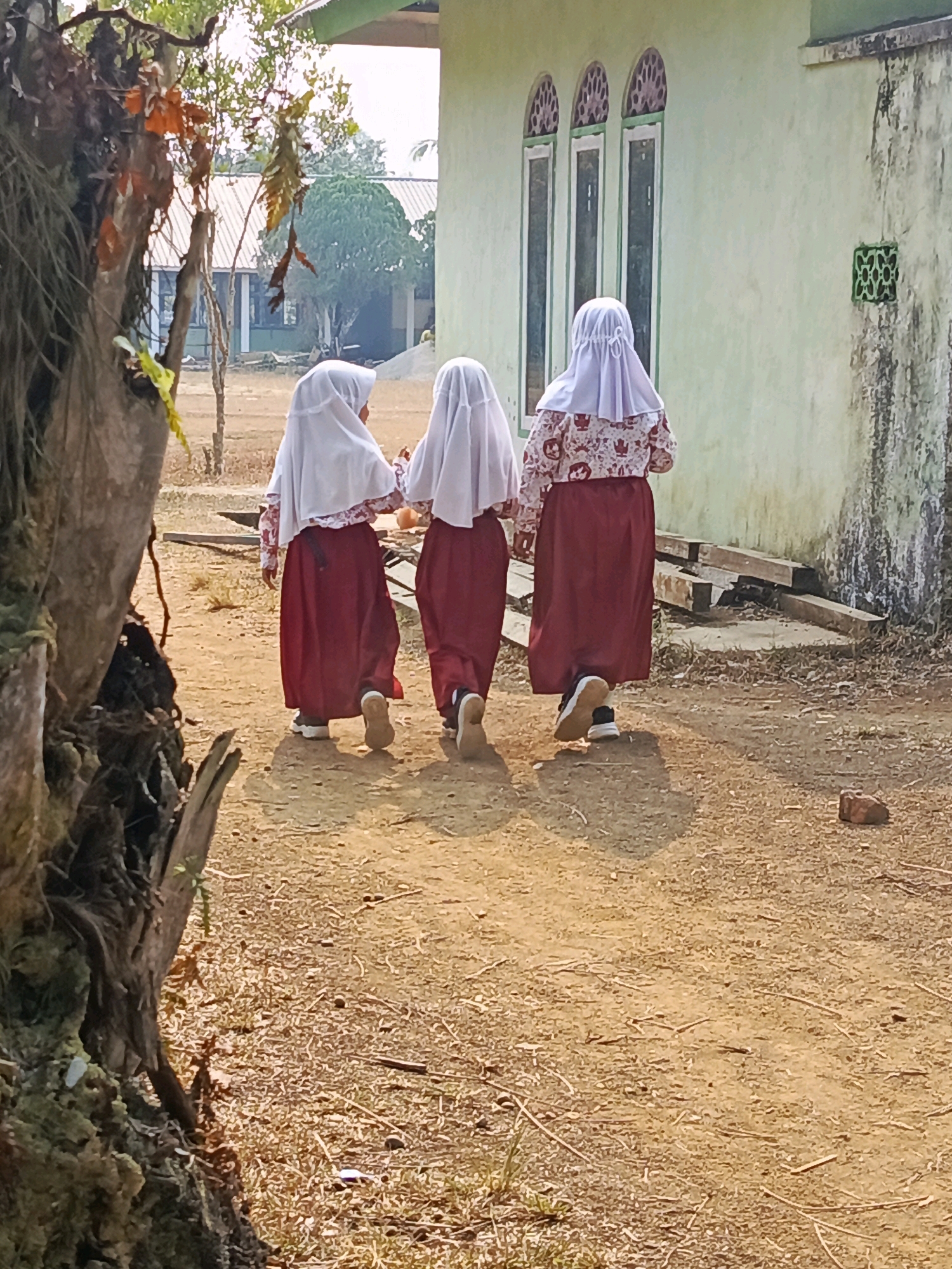 In a scene in the city of Megang Sakti IV, Indonesia, three young girls walk away from the camera on a dirt path. They are dressed in school uniforms, consisting of white hijabs and maroon skirts. Two of the girls wear patterned tops, while the third has a plain white shirt. The background features a light green building with arched windows and an outdoor area with dry grass and scattered debris. A large, moss-covered tree trunk is prominent in the left foreground.
