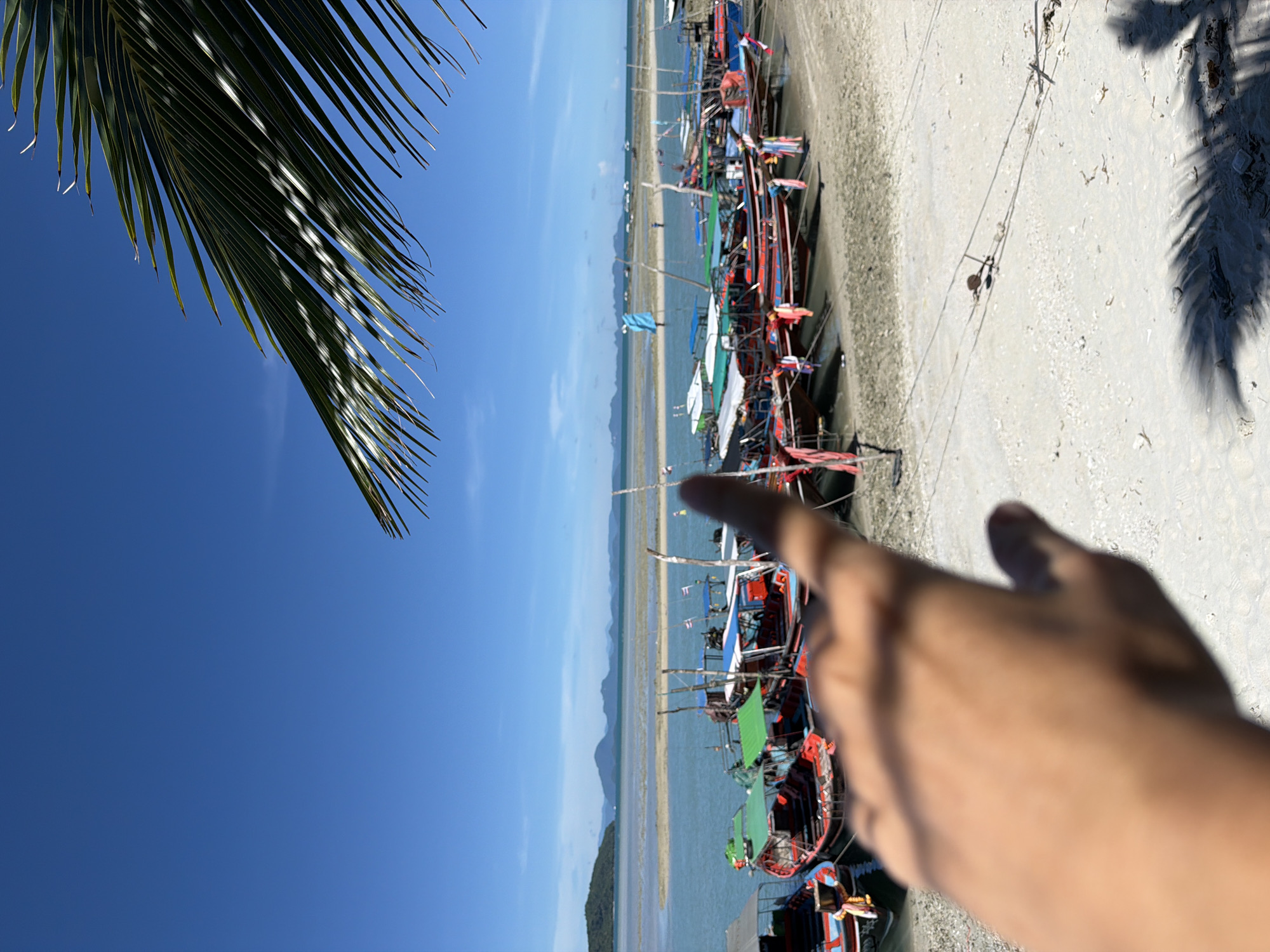 The image depicts a tropical beach scene at Baan Thong Krut, Thailand. In the foreground, a person's hand, slightly out of focus, points towards a line of colorful longtail boats docked on the sandy shore. The boats are predominantly red and blue, with green accents and flags, suggesting they are used for fishing or tourism. The beach is a pale, sandy color, and the water is a calm, turquoise blue. In the distance, a low-lying island or peninsula with lush green vegetation is visible across the water, under a clear, bright blue sky. A large, green palm frond extends into the upper left corner of the frame, casting dappled shadows on the sand. The scene suggests a sunny day, likely in the morning or afternoon, given the bright light and clear conditions. The overall impression is one of a serene and picturesque coastal location, ready for activity. There is no visible text in the image.