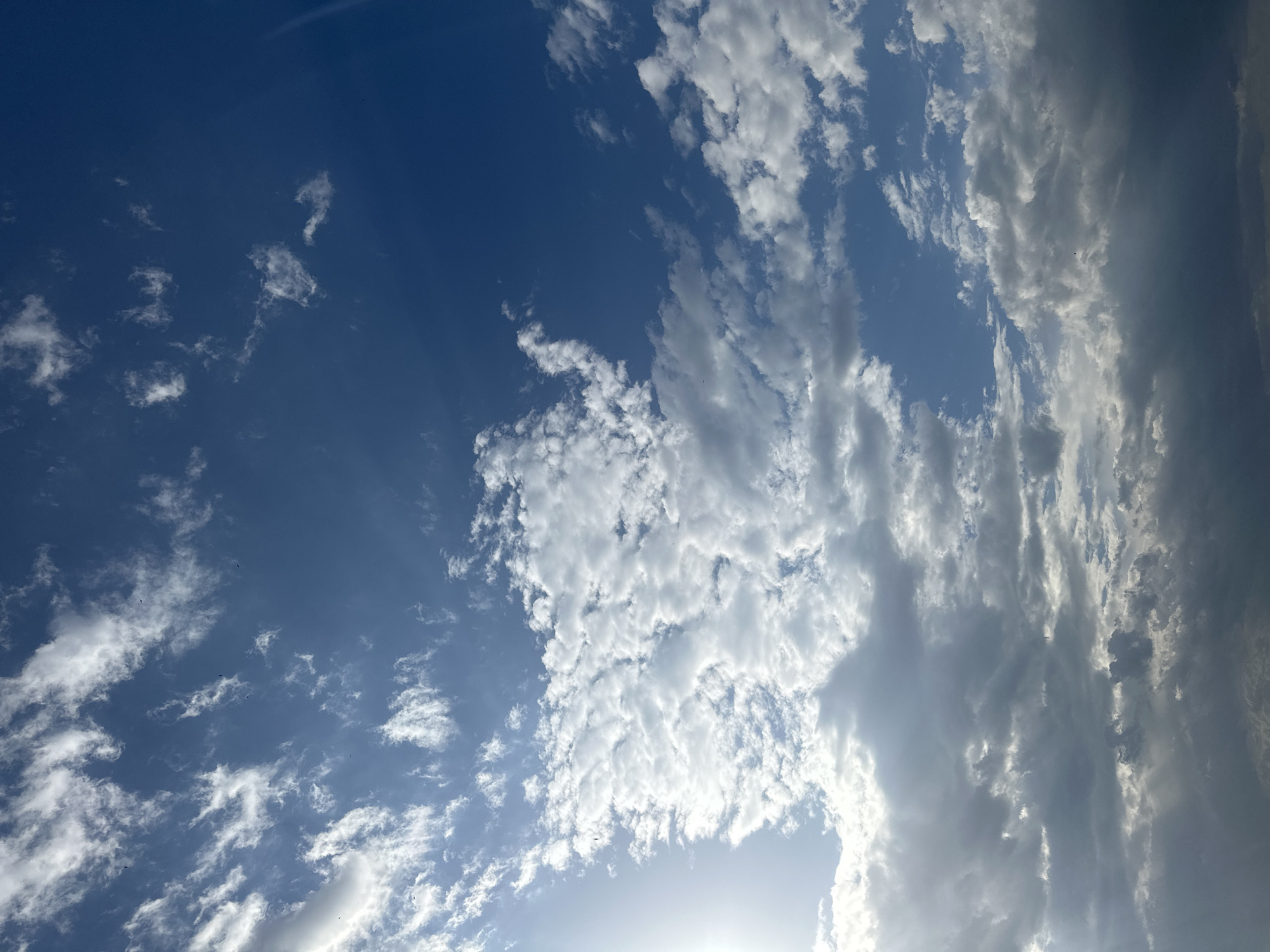 The image shows a daytime sky with varying cloud formations. The upper left portion of the image displays a deep blue sky sparsely populated with small, scattered white clouds. Towards the center, there is a cluster of more prominent, puffy white clouds. On the right side, the sky is filled with elongated, striated clouds that transition from bright white to shades of grey, indicating varying density and possibly the presence of shadows. The sun appears to be positioned low in the sky, possibly near the horizon, as its light is visible emanating from the bottom edge of the image. No people, buildings, or objects are discernible other than the sky and clouds. The location is unspecified within the city of Unknown, Unknown.