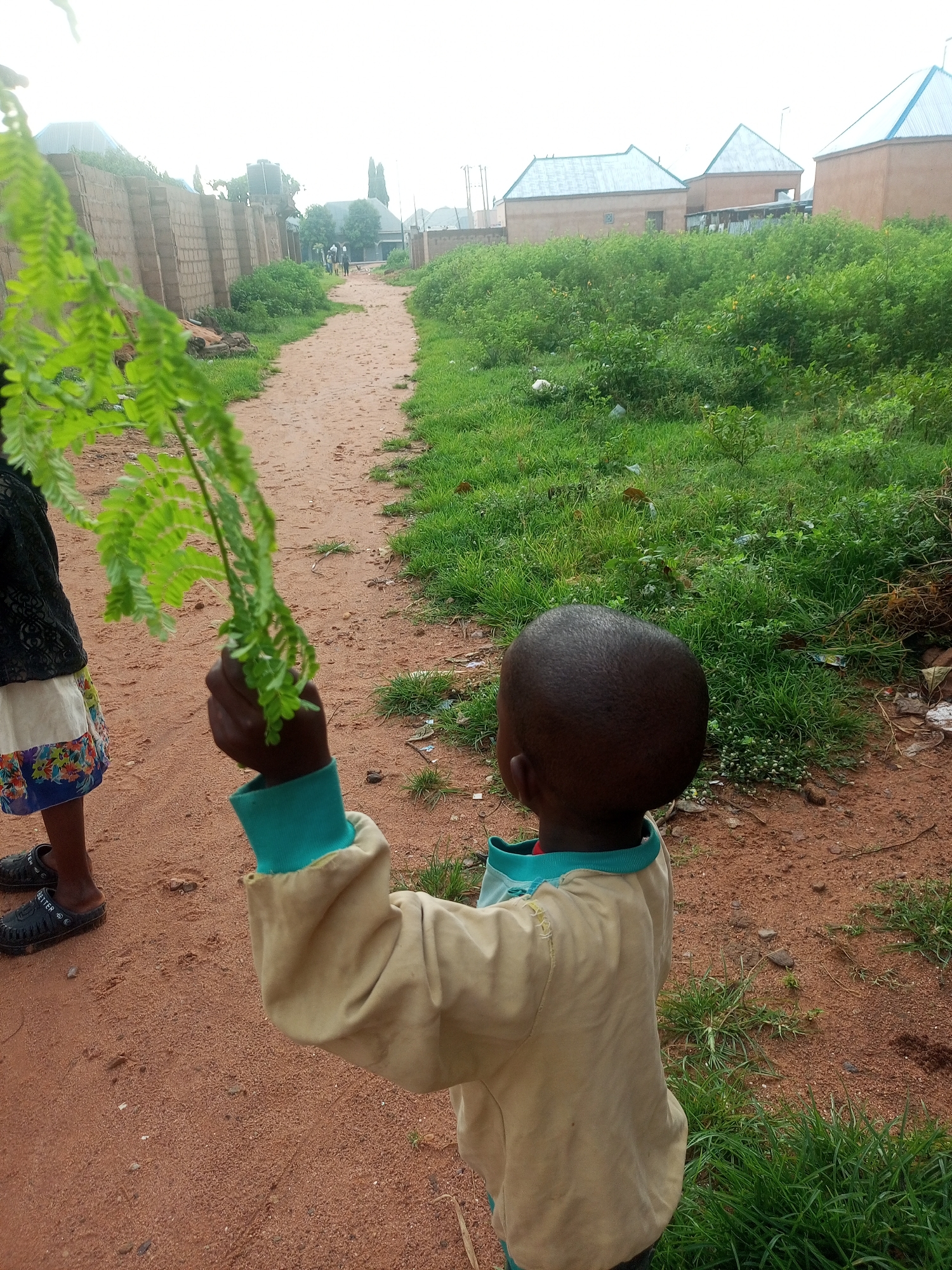 A young child, seen from behind, stands on a dirt path in the city of Tempure, Nigeria, holding a large, green fern frond in their right hand. The child is wearing a light-colored long-sleeved shirt with a teal collar. To the left of the child, another person's legs are visible, wearing a skirt with a floral pattern and black sandals. The path is flanked by a low brick wall on the left and a grassy area with scattered debris on the right. In the background, several buildings with angular, light blue roofs are visible, surrounded by lush green vegetation. The sky is overcast.