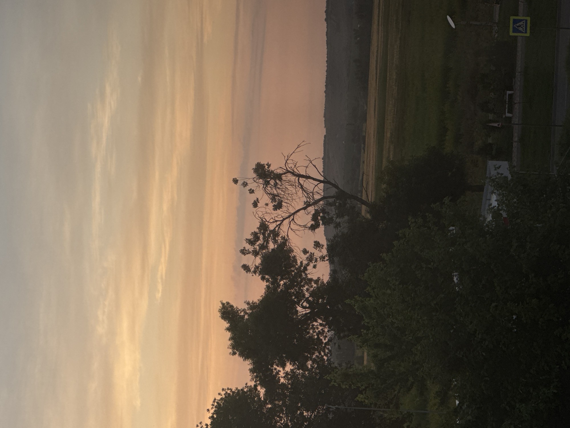 The image depicts a landscape at dusk, likely in Mikhaylovsk, Russia, characterized by a soft, gradient sky transitioning from pale yellow to pink and then to a light blue. Silhouetted against this sky are dark green trees and a distant, undulating tree line that marks the horizon. In the foreground, the dense foliage of trees partially obscures a view of a rural or semi-rural area. The midground reveals a field, possibly agricultural, with patches of green and brown vegetation. A road is visible in the lower portion of the image, marked with a pedestrian crossing sign. To the right, a lamppost with a satellite dish is also present. There are no people or animals visibly present in the scene. The overall atmosphere is serene and quiet, typical of a rural sunset.