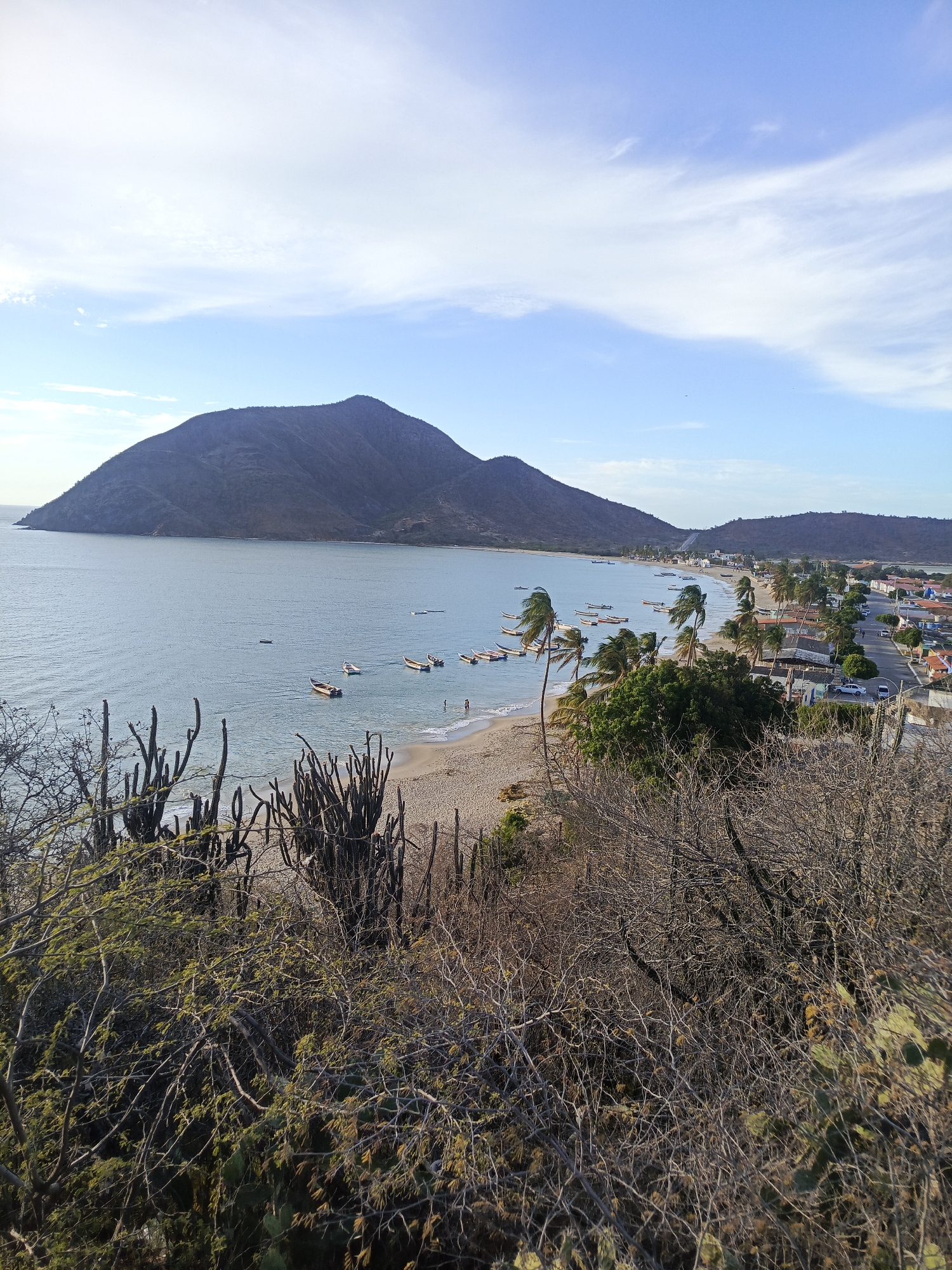 Here's a detailed description of the image:
**Scene:** A coastal vista in Juan Griego, Venezuela.
**Environment:** The setting is dominated by a large, rounded mountain descending towards a bay, where fishing boats dot the calm waters. The sky is bright blue with scattered clouds. A sandy beach lines the shore, merging into a small town with houses, streets, and palm trees. The foreground features dry, scrubby vegetation and cactus, suggesting a dry climate.
**Objects:**
* **Boats:** Several small fishing boats are anchored in the bay.
* **Town:** A line of houses, buildings, and roads are visible on the right side of the image.
* **Vegetation:** Palm trees line the beach, while cacti and dry brush are prominent in the foreground.
**Location:** Juan Griego, Margarita Island, Venezuela.