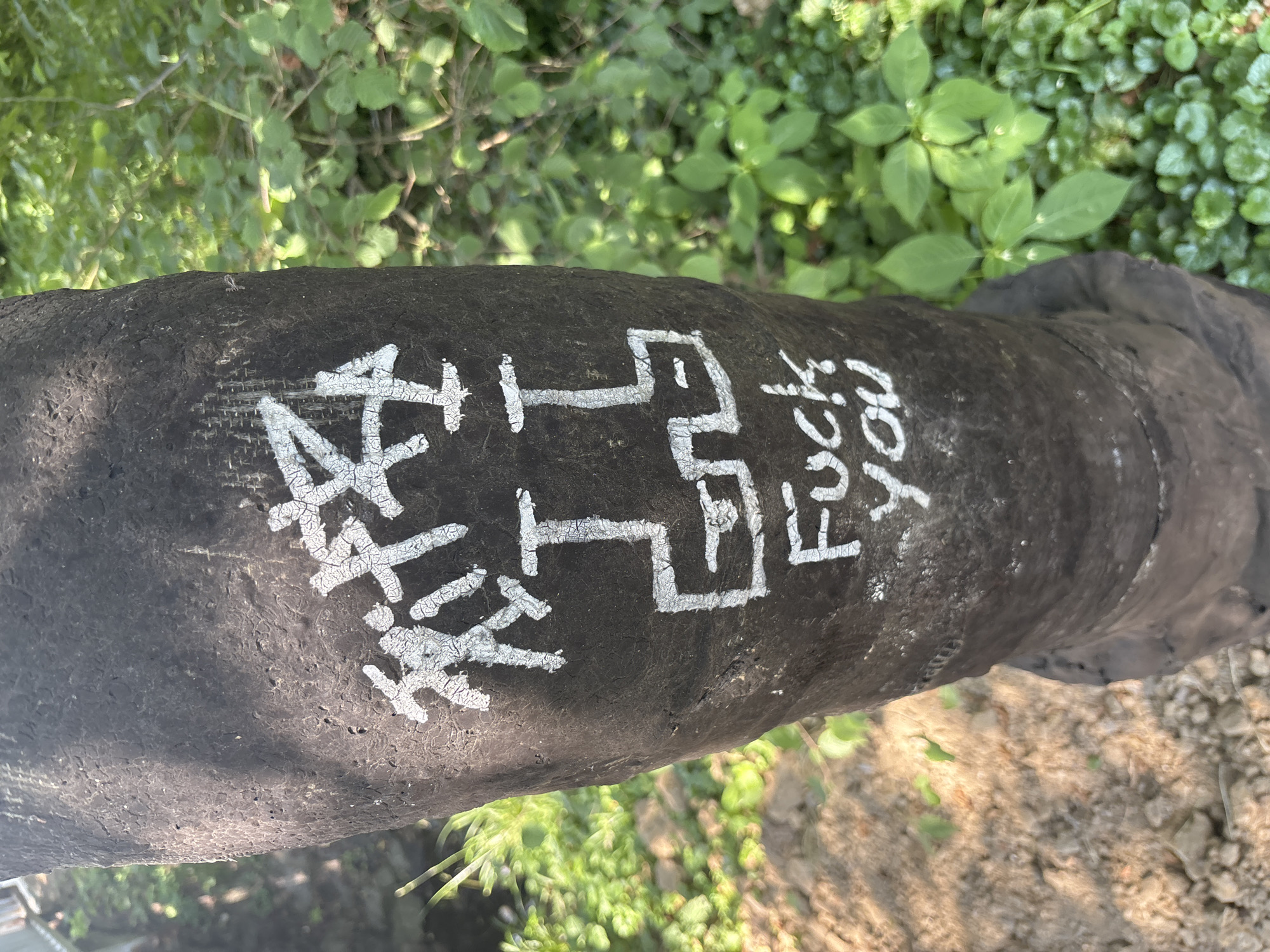 The image shows a close-up, slightly angled view of a dark, cylindrical object, possibly a pipe or a log, lying horizontally. The object's surface is rough and textured, with visible cracks in the dark material. White paint has been applied to the surface in a graffiti-like manner, forming both symbols and text.
On the left side of the object, there appear to be some stylized symbols or characters that are difficult to decipher definitively. To the right of these, larger, blocky white markings are visible, resembling simplified figures or abstract shapes. Further to the right, the English phrase "FUCK YOU" is clearly written in white capital letters. The paint on these markings is also cracked, suggesting age or exposure to the elements.
The background of the image is blurred, showing lush green foliage, indicating an outdoor setting. The lighting suggests it is daytime, possibly sunny, with dappled light filtering through. The overall impression is of an urban or semi-urban environment where graffiti has been applied to an object in a natural setting. There are no people visible in the image.