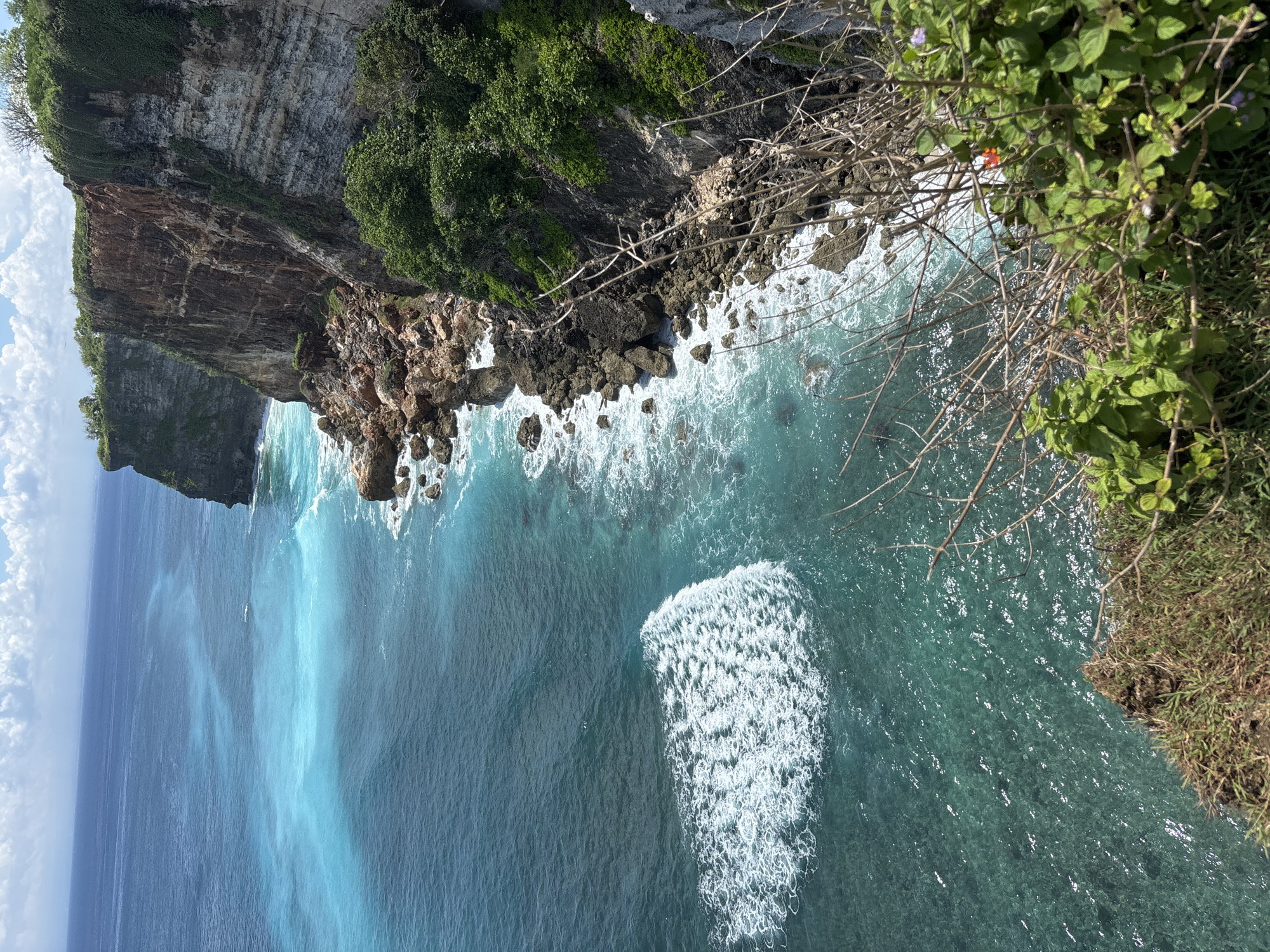 The image captures a cliffside view in Uluwatu, Indonesia, showing a rugged coastline where the cliff face meets the ocean. The cliff is layered with vegetation on top, transitioning to bare rock closer to the sea. Waves crash against the rocks below, creating white foam. The ocean water is a gradient of deep blue to turquoise. Some branches and foliage are visible in the foreground on the right side of the picture.