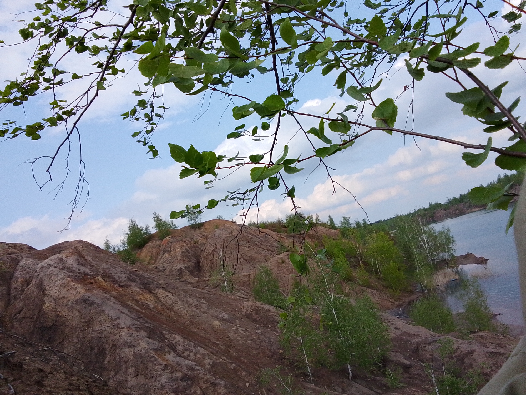 The image depicts a landscape with a prominent, eroded terrain of brown earth and rock formations. Patches of green vegetation, including trees and shrubs, are sparsely distributed across the slopes. In the background, there is a body of water with a visible shoreline. Overhanging the scene are branches of a tree, some with green leaves, framing the view of the landscape and sky. The sky above is partly cloudy with patches of blue visible. The location is identified as being in the city of Unknown, Unknown.