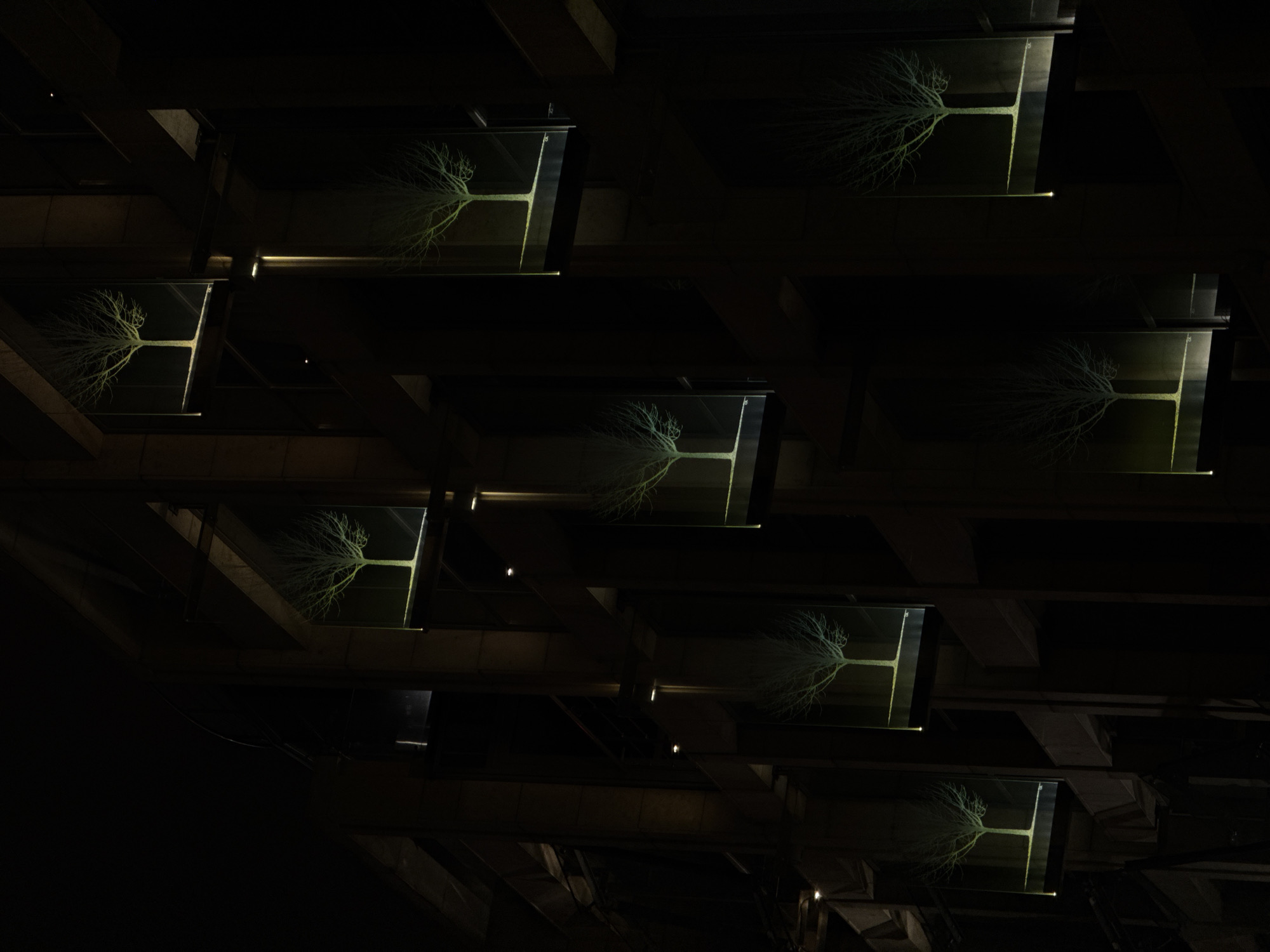 The image depicts an interior view of the Park Zaryadye, located in Moscow, Russia. A patterned grid of illuminated glass panels, each displaying a bare tree design, forms the ceiling. The panels are encased within a dark, industrial-looking framework of beams and supports, creating a contrasting effect of light and shadow. The scene suggests an architectural or artistic installation, with the tree motifs adding an element of nature within an urban setting. The lighting is subdued, focusing attention on the glowing tree designs.