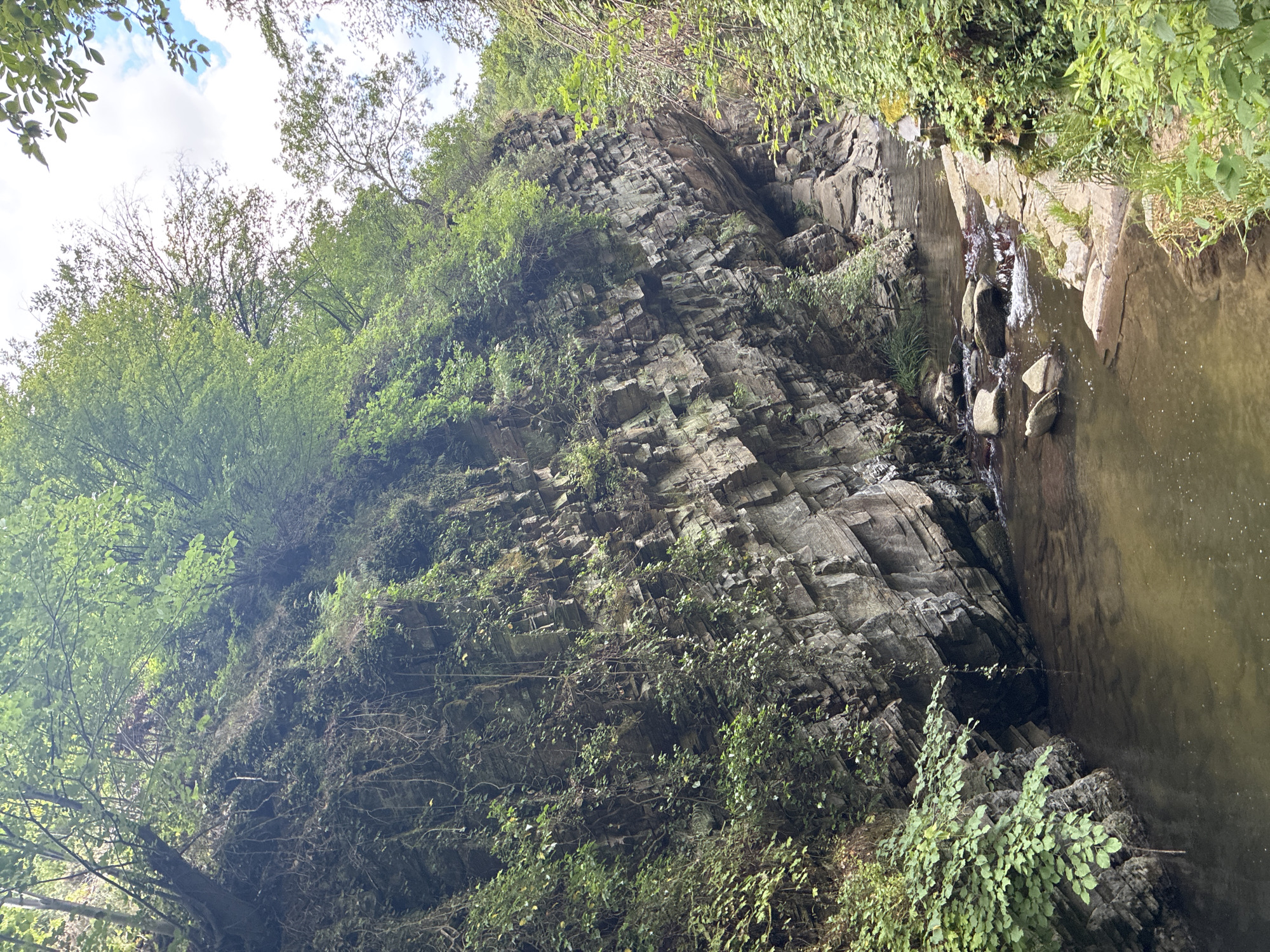 This is an eye-level, full shot of a natural scene in Hrabrino, Bulgaria. A rocky gorge carved by a narrow, shallow river dominates the image. The river flows from right to left, with its surface reflecting the muted colors of the sky and surrounding foliage. The water is slightly murky, and several rocks are visible submerged in it or on its banks, some creating small ripples as the water flows around them. The gorge walls are steep and layered, composed of grey rock with visible strata. These walls are extensively covered in dense green vegetation, including vines that hang down, and various bushes and small trees that sprout from crevices. The top of the gorge is lined with a canopy of lush green trees, their leaves filtering the sunlight and creating dappled patterns. The sky, visible in patches through the trees, is bright blue with some white clouds. The overall impression is one of a secluded, verdant, and wild natural environment within the city. There are no people or animals visible in the scene.