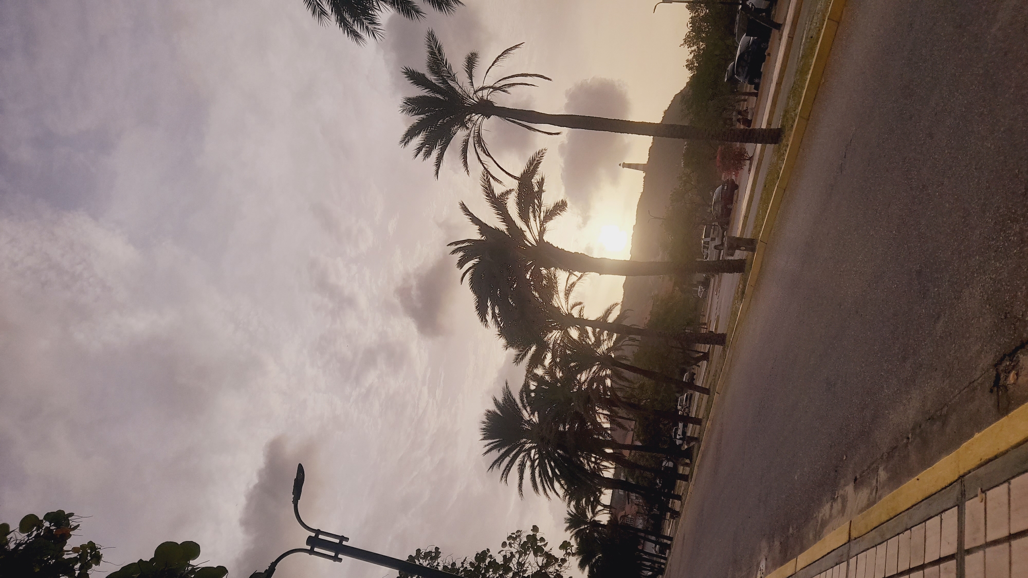 The image depicts a roadside scene at sunset or sunrise in Pedro González, Margarita Island, Venezuela, specifically oriented towards the Punta Ballena Lighthouse. A two-lane asphalt road runs diagonally from the lower left to the upper right, bordered by a tiled sidewalk on the left, marked with a prominent yellow curb line. Numerous palm trees line both sides of the road, their dark silhouettes contrasting with the warm, overcast sky. The low sun is visible as a bright glare behind a distant hill on the right side of the frame, casting a golden-orange hue across the clouds and landscape. Positioned on this prominent hill, slightly to the right of the sun's brightest glare, stands the distinct white structure of the Punta Ballena Lighthouse. A multi-armed streetlight is visible in the upper left foreground, with another further down the road. Several vehicles, including a white pickup truck and dark sedans, are parked or in transit along the road and in adjacent parking areas. Faint figures of people are discernible in the distance near the parked vehicles on the right. The sky is dominated by various cloud formations, ranging from lighter, diffuse patterns to darker, more defined clusters. Hills form the background, appearing dark and silhouetted against the illuminated sky.