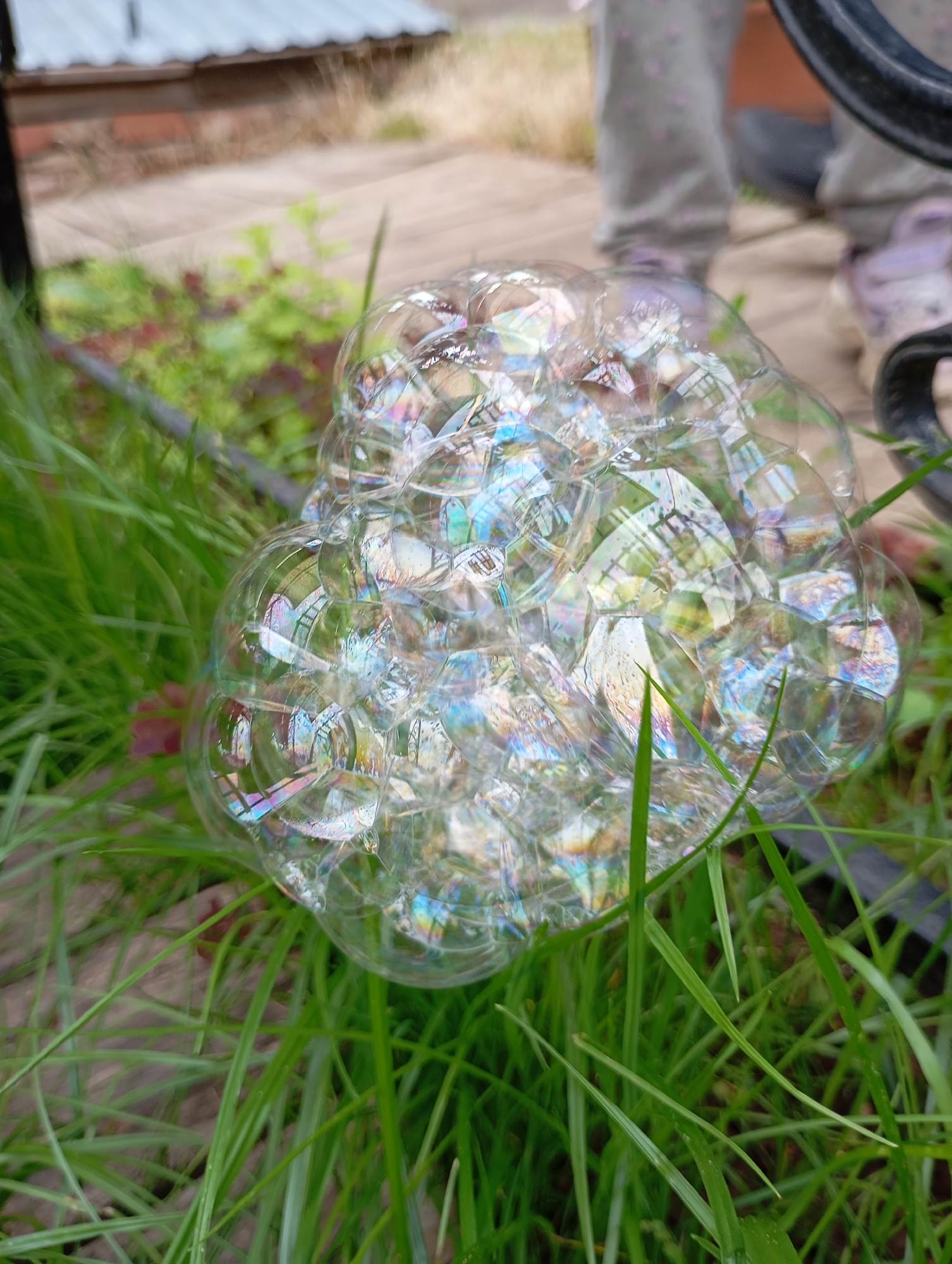 A low-angle, close-up photograph captures a dense cluster of multiple soap bubbles resting on and intertwined with blades of bright green grass in Фоки, Russia. The individual bubbles are transparent but display strong iridescent reflections in shades of blue, pink, yellow, and green, indicative of light refraction. Some grass blades are sharply in focus in the immediate foreground and surrounding the bubbles.
In the blurred background, to the left, a light-colored, possibly wooden, horizontal surface extends, and above it, a section of a light grey corrugated metal roof is visible. To the right, partially visible lower legs and feet of a person are present. The person wears light grey pants adorned with a faint pink pattern and light-colored, possibly lavender, slip-on shoes. The feet are positioned on a light-toned, possibly wooden, surface. A dark, thick, curved object, potentially a metal frame or handle, is partially visible on the extreme right, in front of the person's legs. The overall environment appears to be an outdoor setting with natural light.