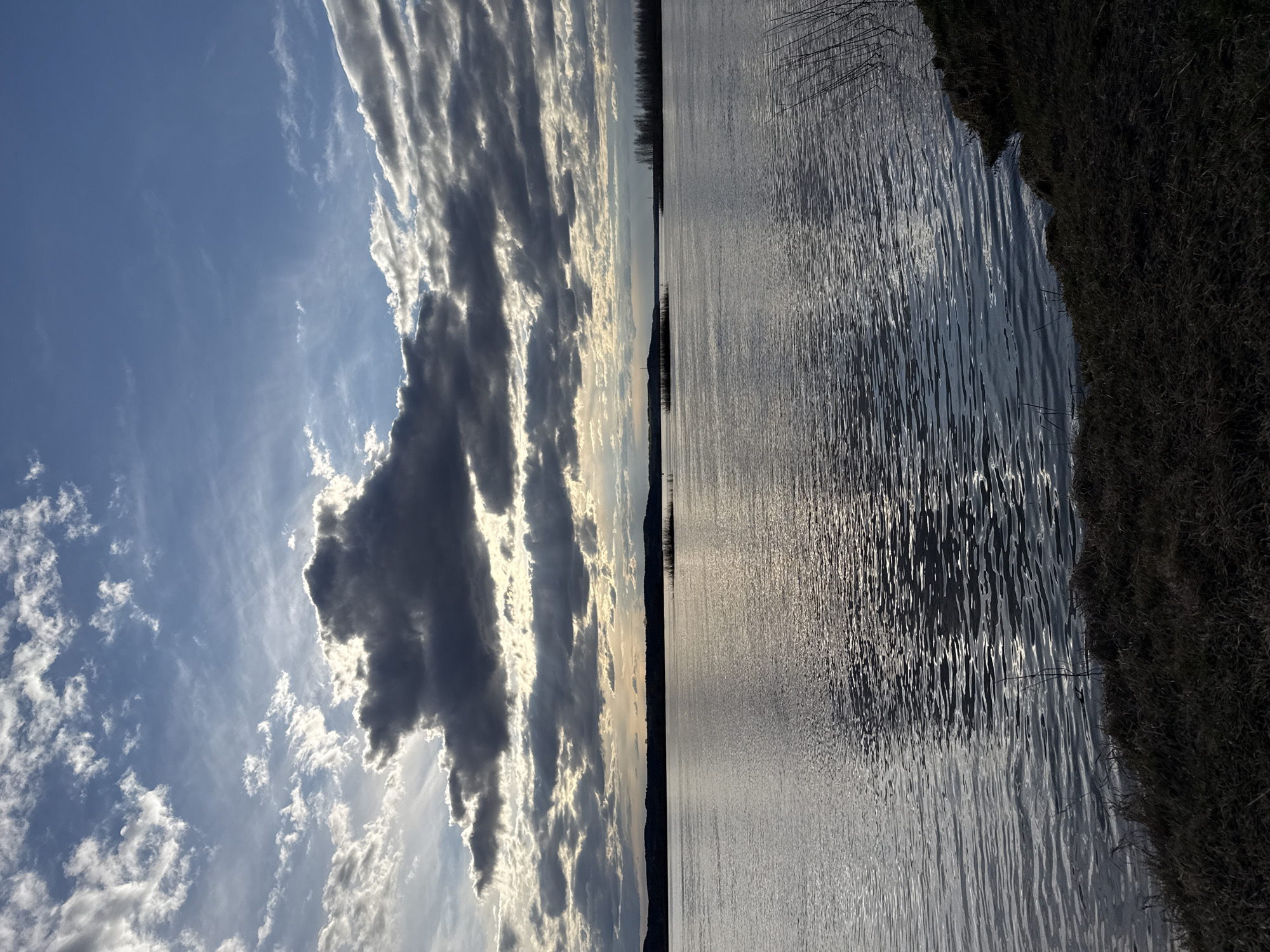 The image displays a tranquil natural landscape, horizontally oriented, featuring a vast body of water under a dynamic sky. The upper portion of the frame is dominated by a partly cloudy sky, showing patches of clear blue interspersed with dramatic, textured clouds. Some clouds appear dark and voluminous, while others are brilliantly backlit by a low sun, showcasing glowing white and gray edges, indicating either sunrise or sunset.
The lower half of the image is an expansive sheet of water, likely a lake or a wide river. Its surface is covered with numerous small ripples, creating a shimmering effect as it reflects the light from the sky. The reflections vary from bright, silvery streaks where the light catches the wave crests, to darker, deeper tones in the troughs. Along the right side of the water, a dark, textured bank or shoreline covered in dry grass or reeds is visible. Further out in the water, sparse, dark reeds protrude from the surface. In the far distance, a subtle, dark line stretches across the horizon, separating the water from the sky, suggesting a distant landmass or a dense line of trees.
The scene depicts a calm, natural environment with no discernible human activity or specific events taking place. The lighting suggests either early morning or late afternoon, with the sun low on the horizon, creating a luminous and somewhat serene atmosphere. There is no visible text in the image. The setting evokes a sense of quiet vastness, consistent with a rural or natural landscape in the Шолья region of Russia.