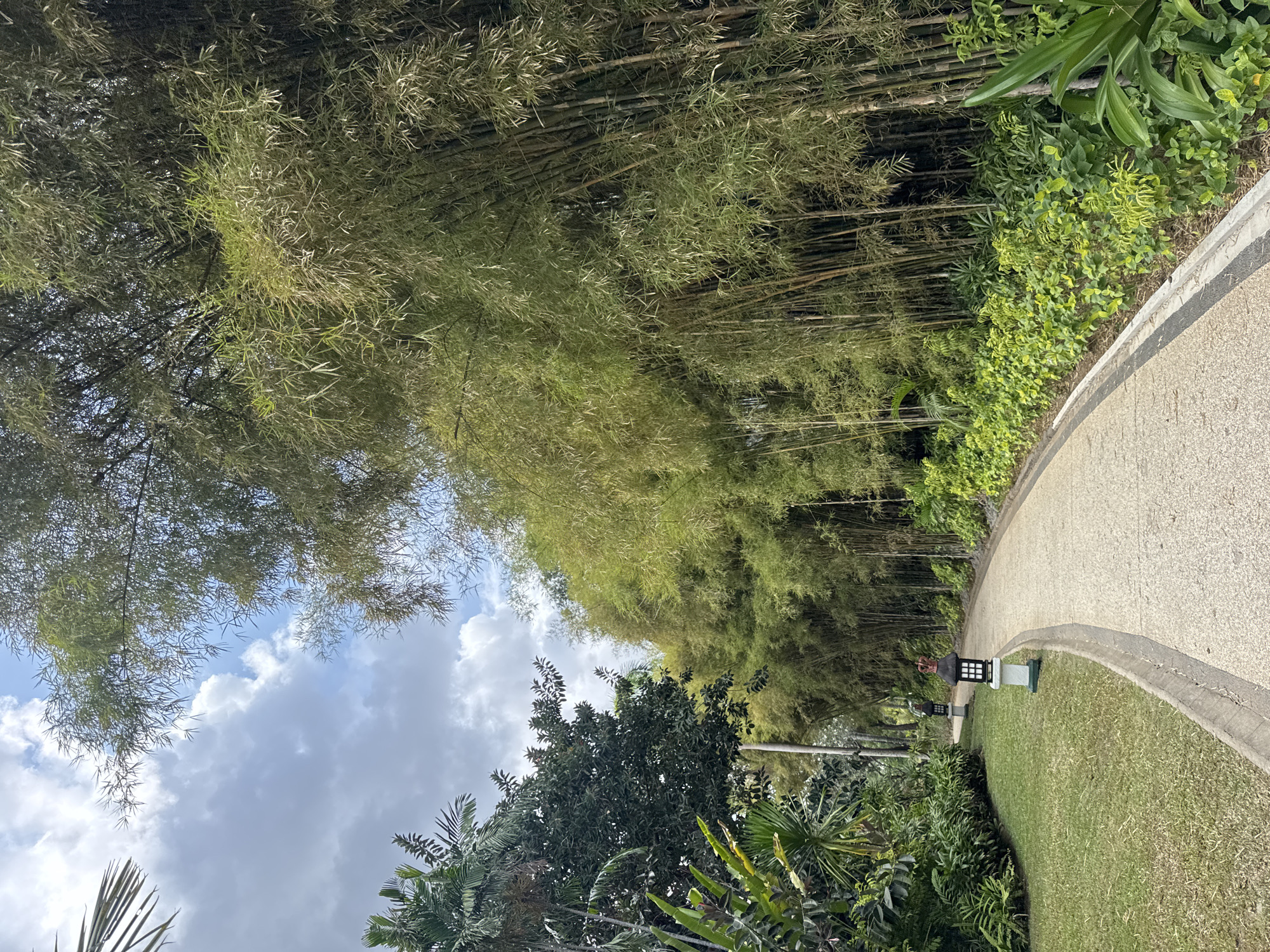 An outdoor, eye-level, full shot captures a winding, light-colored pathway curving through a lush, tropical environment. The pathway, made of textured concrete, is bordered on the right by a dense wall of tall, green bamboo trees. On the left, the pathway is adjacent to a neatly manicured lawn, followed by a variety of tropical plants and trees, including palm fronds and dark green foliage. Two ornamental lanterns with white bases and black tops, each topped with a decorative crown, are positioned on the lawn along the pathway. The sky above is partly cloudy with a mix of white and gray clouds against a blue backdrop. The scene appears to be in a garden or park setting.