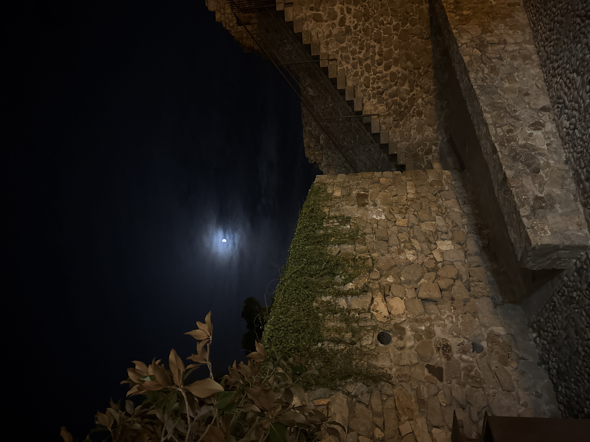 A full moon is visible in a dark, cloudy night sky above a stone wall in Tossa de Mar, Spain. The stone wall is covered with hanging green vines on its upper section. To the right of the wall, a stone staircase with a metal railing ascends. The foreground is paved with small, rounded stones. A tree branch with brown leaves is visible in the upper left corner. The lighting suggests artificial light sources illuminating the stone structures.