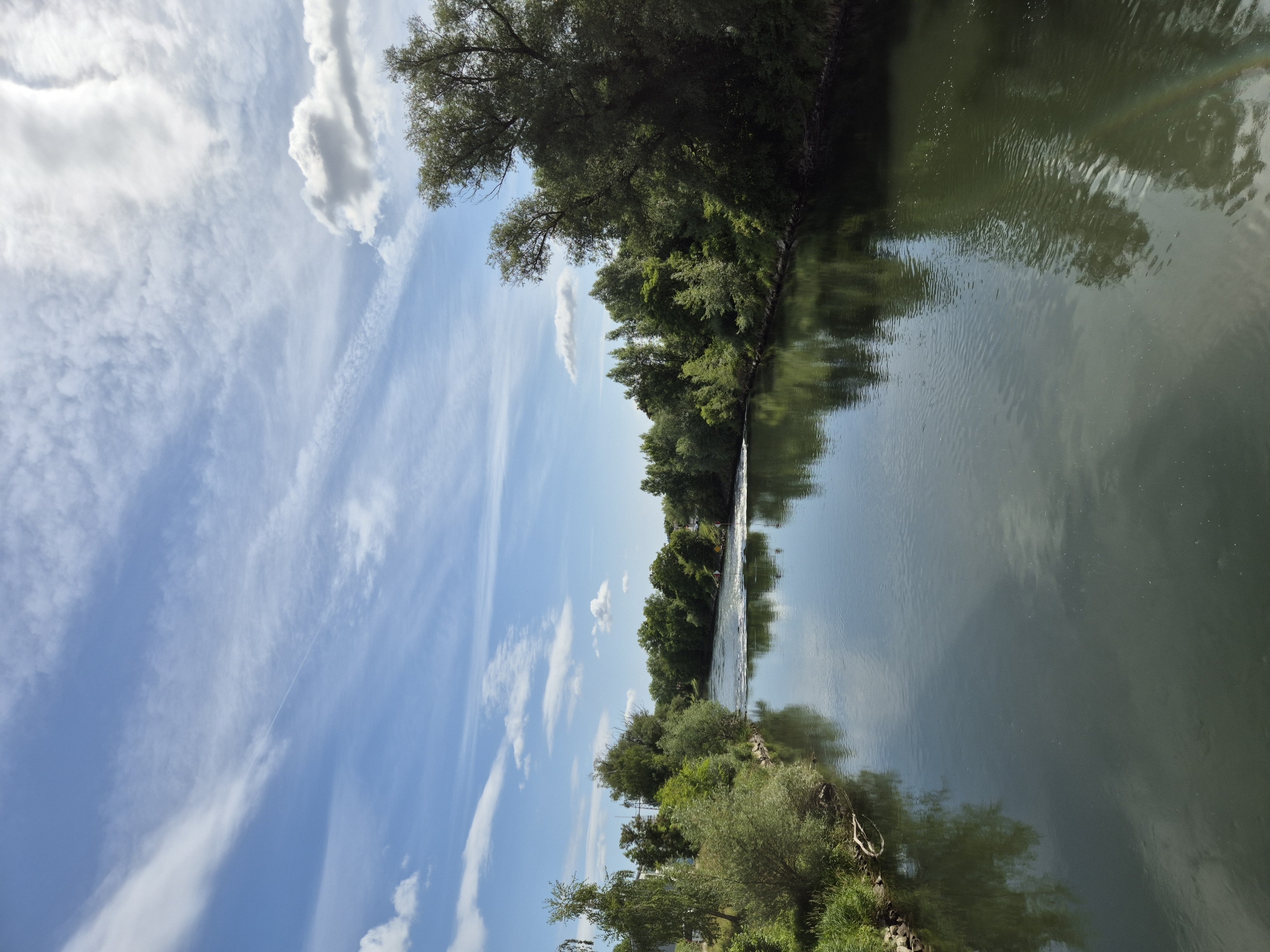 This image depicts a river or canal flowing through a verdant, natural environment under a partly cloudy sky, likely captured from an elevated position such as a bridge. The location is in the city of Unknown, Unknown.
The sky occupies the upper approximately one-third of the frame, displaying a bright blue color with scattered white clouds. These include wispy, elongated cirrus-like clouds stretching across the upper left and center, and more defined, fluffy cumulus-like clouds on the upper right, reflecting bright sunlight. A faint, thin contrail is visible horizontally in the mid-sky.
The river itself dominates the lower two-thirds of the image, appearing dark green to deep blue-green due to reflections of the sky and surrounding foliage. Its surface is relatively calm but exhibits numerous ripples and minor waves, particularly in the foreground and mid-ground. In the mid-distance, a section of the river shows agitated, frothy white water, indicative of rapids or a small weir/dam structure, suggesting water flow from the background towards the viewer. Clear reflections of the sky and the trees on both banks are visible on the water's surface, distorted by the ripples.
Both banks of the river are densely covered with various types of green trees and bushes.
The left bank features a mix of broadleaf trees and shrubs. A tall, slender tree with lighter green foliage stands prominently in the upper left quadrant of the bank. Closer to the water's edge, smaller bushes and grasses line the bank. A piece of driftwood or a fallen branch is partially submerged or resting at the water's edge in the lower-left foreground. Further along the left bank into the distance, some hints of human infrastructure, possibly power lines or a structure, are partially obscured by the trees.
The right bank is characterized by a denser, taller canopy of trees, casting darker reflections and shadows on the water. A large, mature tree with a full, dark green canopy leans over the water on the far right, partially extending out of the frame.
No people, animals, or man-made vessels are visible in the scene. The overall impression is one of a vibrant natural landscape on a bright, sunny day.