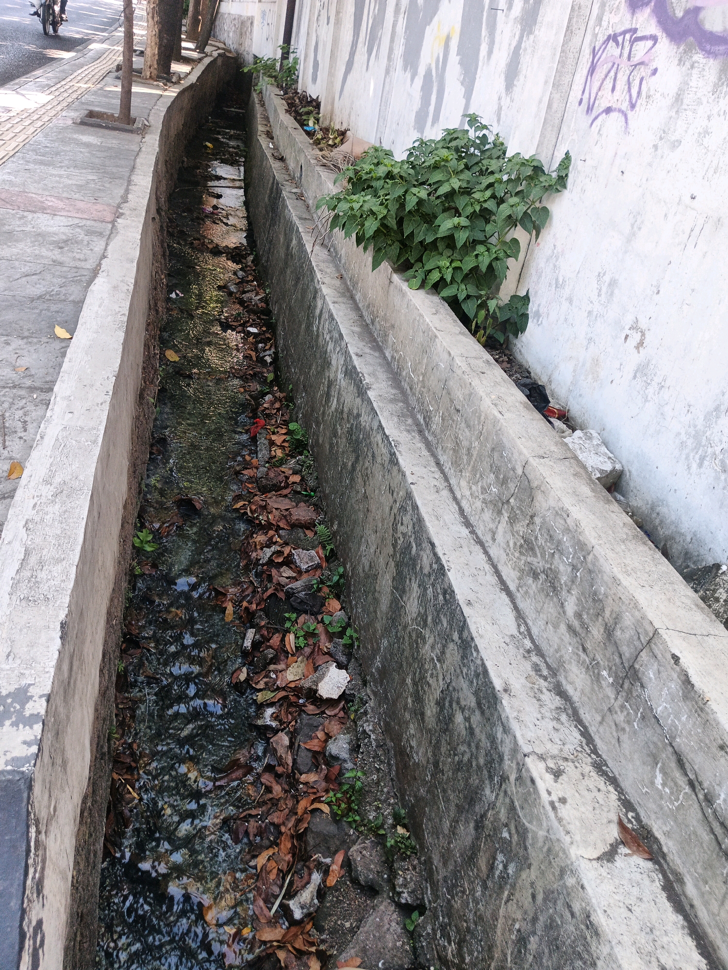 The image depicts a concrete drainage channel running alongside a sidewalk and a wall. The channel is partially filled with water and contains debris such as fallen leaves and some litter. Green vegetation is growing from the edge of the channel and against the adjacent wall. Graffiti is visible on the wall. In the background, a motorcycle is partially visible on the street. The scene appears to be an urban environment. The location is specified as the city of Bandung City, Indonesia.