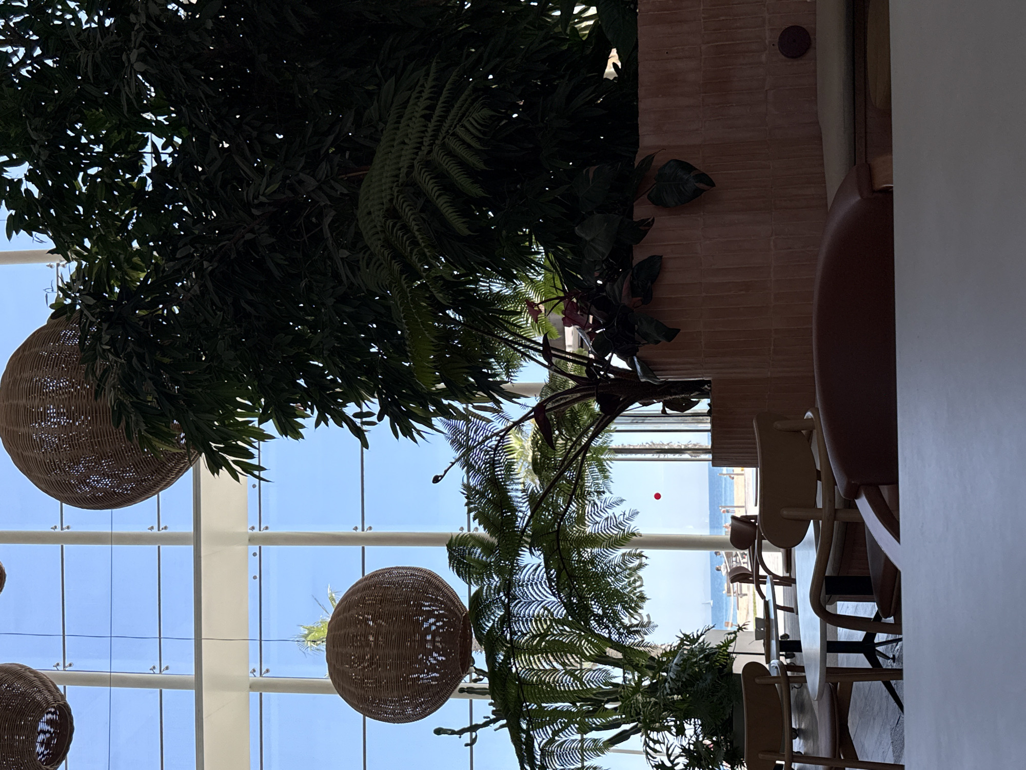 The image depicts an indoor seating area with large windows overlooking a beach scene. Several large, woven pendant lights hang from the ceiling, casting a warm glow. Lush green plants, including ferns and tropical foliage, are strategically placed throughout the space, creating a natural, airy ambiance.
In the foreground, several modern wooden chairs with upholstered seats surround light-colored tables. The tables appear to be small and round, suitable for intimate gatherings. The chairs are arranged in a way that suggests a cafe or restaurant setting.
Through the expansive windows, a sun-drenched beach is visible. The sand is light, and the ocean stretches out to the horizon, with a few faint sailboats on the water. People can be seen strolling along the beach, and some appear to be sitting at tables on the sand. A bright red object, possibly a buoy or a marker, stands out against the blue sea.
The architectural style suggests a contemporary building, likely a beachfront establishment. The combination of natural elements, modern furniture, and the scenic view creates a serene and inviting atmosphere. Given the context provided about Barcelona, Spain, this scene could be from a cafe or restaurant located along the Barceloneta beach or a similar coastal area within the city.