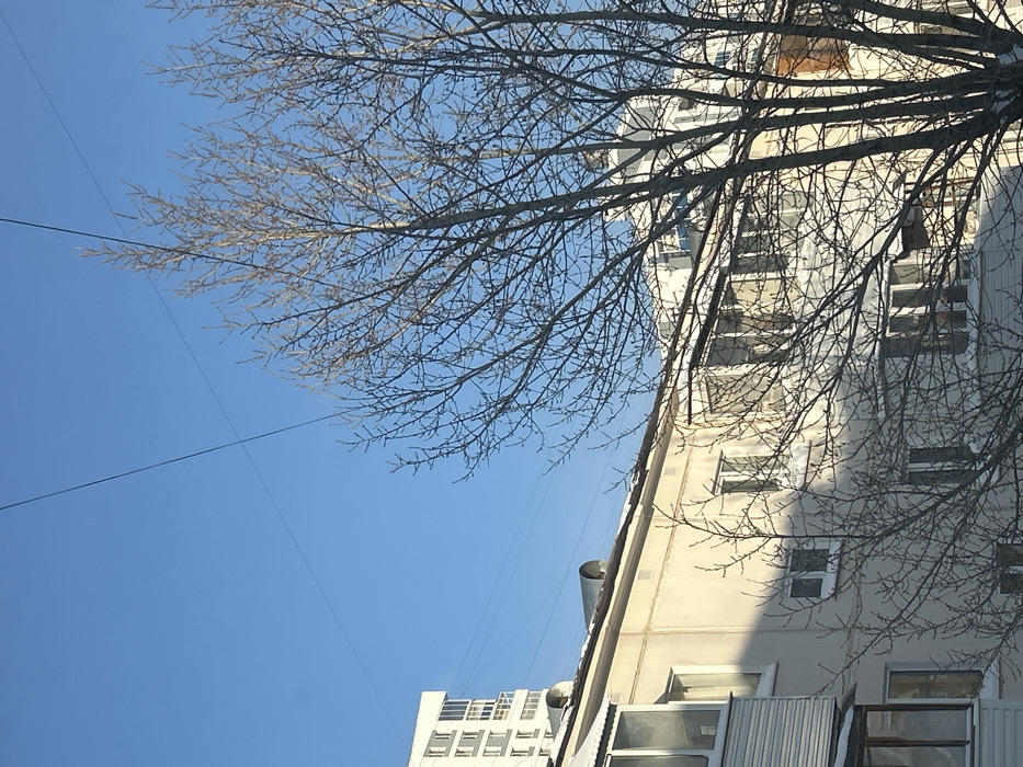 The image depicts a winter street scene in Perm, Russia, under a clear, bright blue sky. Two thin, dark overhead wires intersect diagonally across the upper portion of the sky. A prominent, leafless deciduous tree with an intricate network of bare branches occupies the right half of the foreground and midground. To the left, a multi-story building with a light-colored, possibly beige or cream facade features multiple windows and a balcony enclosed with white siding on its left side. Its roofline shows snow accumulation and two cylindrical metal ventilation ducts. This building exhibits distinct shadow on its left facade and direct sunlight on its right. In the background, on the far left, a taller, modern white residential building with multiple windows is partially visible. Behind the leafless tree on the right, another multi-story light-colored building is partially visible, also showing multiple windows and snow accumulation on ledges. No individuals or active interactions are visible. The environment indicates a cold, clear, sunny winter day with snow present on building surfaces.