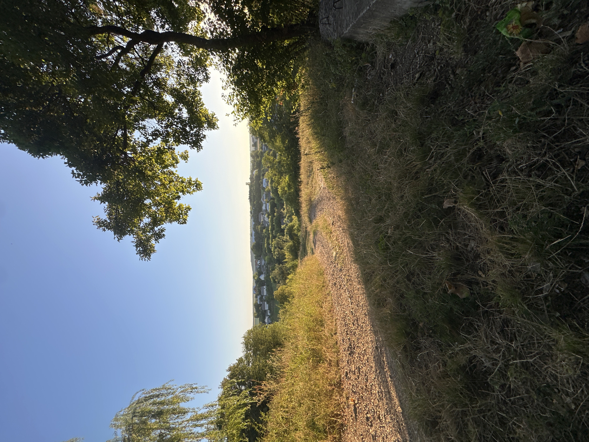 The image captures a sun-drenched view of a rural landscape, likely on the outskirts of Shatava, Ukraine. A dirt path winds its way down a grassy slope, leading towards a cluster of houses nestled in a valley below. Mature trees frame the scene, with sunlight filtering through their leaves, casting dappled shadows on the ground. The sky above is a clear, vibrant blue. The overall impression is one of serene natural beauty, with a hint of human habitation in the distance.