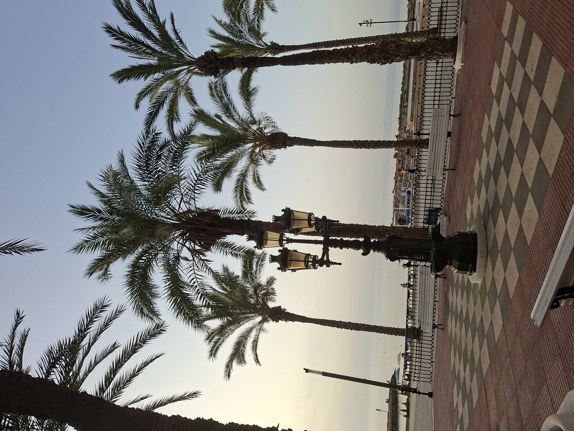 The image captures a view of the promenade in Torrevieja, Spain, characterized by a checkered tile pattern on the ground and palm trees framing the scene. In the foreground, a vintage-style street lamp with four lights stands prominently. Beyond the lamp, a white bench is visible, and further back, a black metal railing separates the promenade from the beach area. Several palm trees of varying heights are scattered across the midground. The background features the sea and a clear, pale sky. People can be seen strolling on the beach and near the water. The overall atmosphere suggests a calm and pleasant day in a coastal city.
