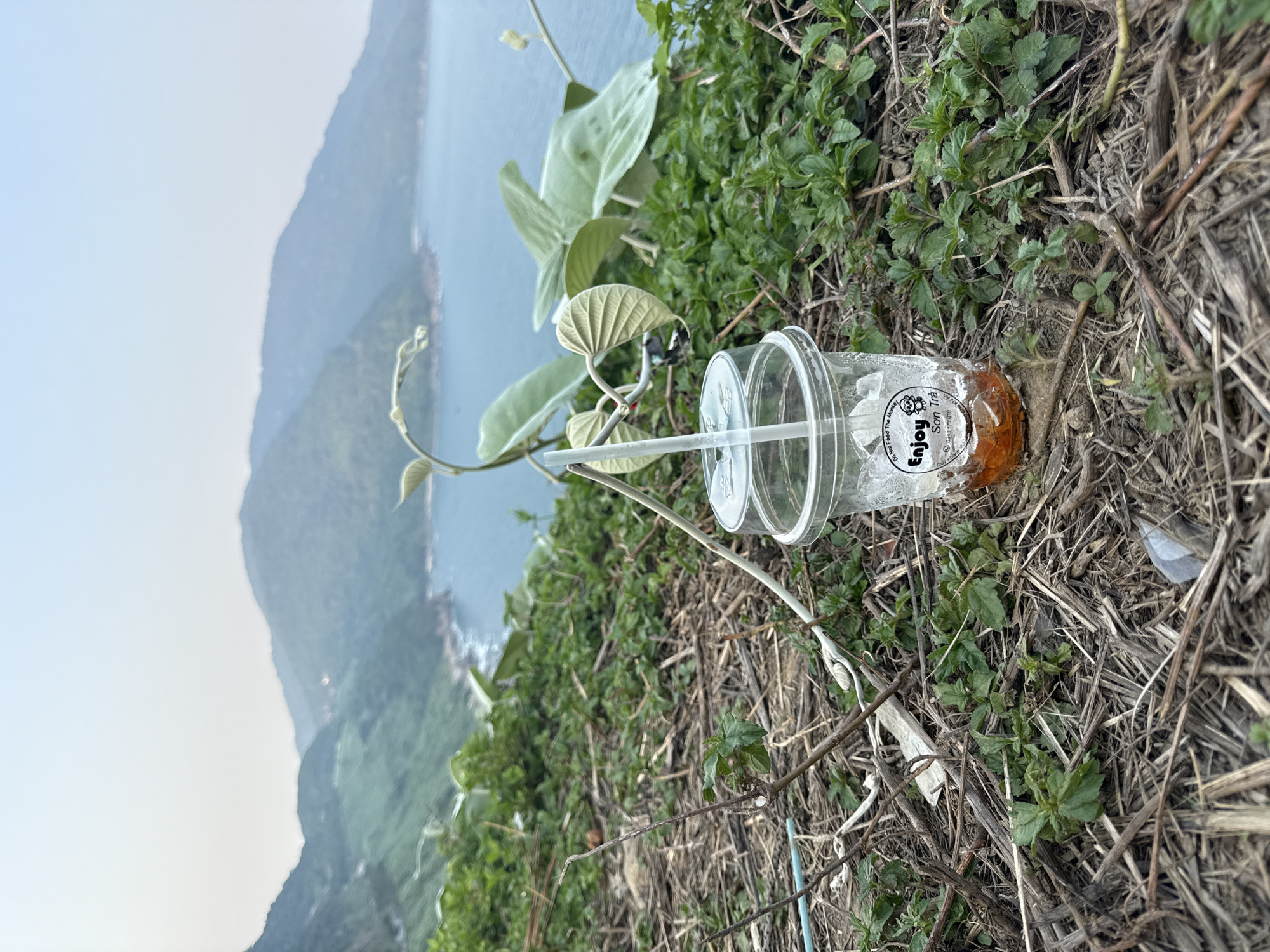 An open plastic cup with a straw is discarded on the ground, near vegetation, and next to the ocean. The cup has the words "Enjoy Son Tra" in English, with Vietnamese below. This suggests that the image was taken near Son Tra mountain, in Đà Nẵng, Vietnam.