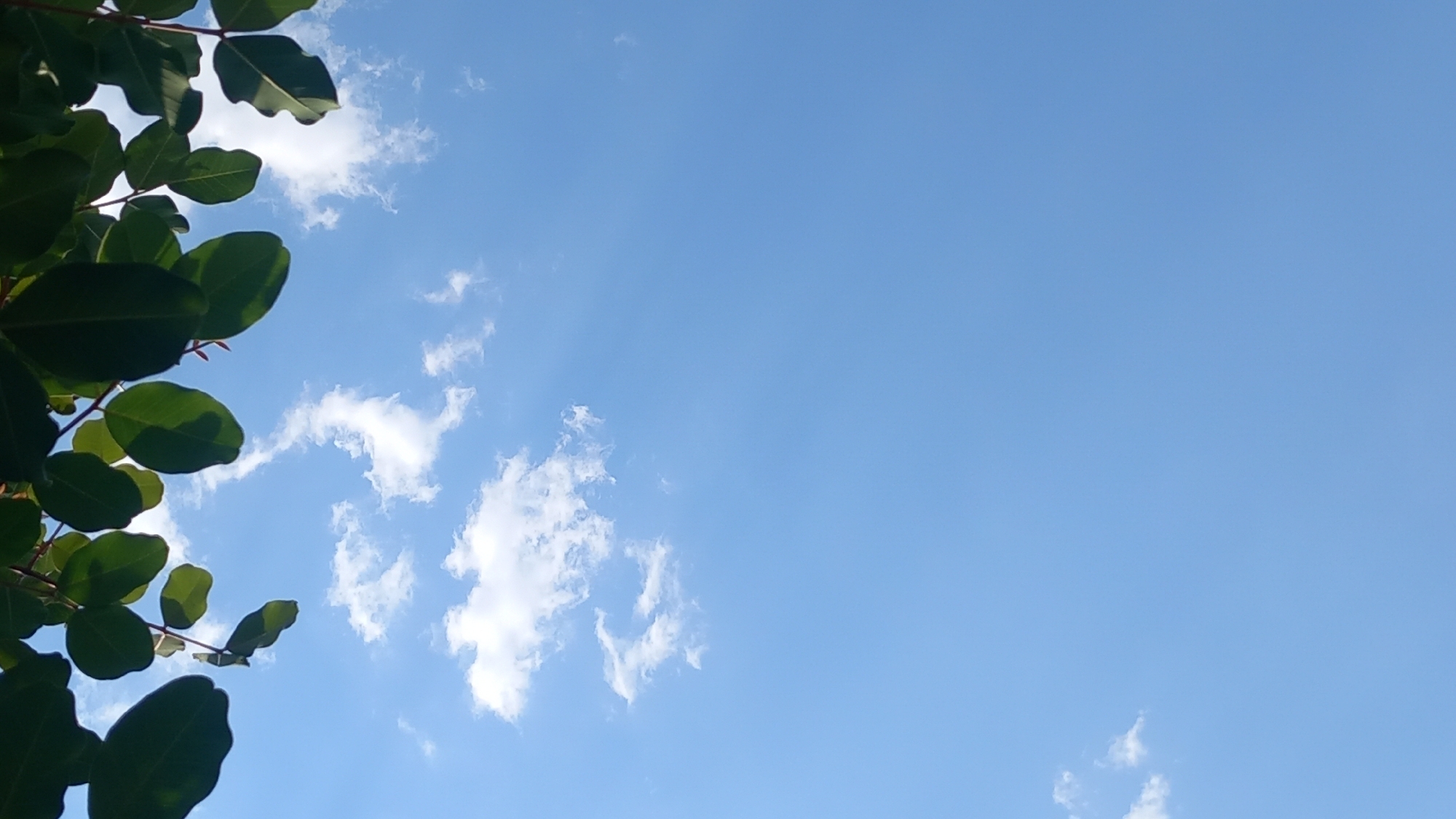 The image shows a clear blue sky with scattered white clouds, viewed from below through the leaves of a tree. The leaves are green and appear to be lit by sunlight. The scene is outdoors and likely represents a natural environment within the city of Άγιος Νεκτάριος, Greece, as indicated by the context. There are no people or specific objects visible other than the foliage and the sky. The lighting suggests it is daytime.