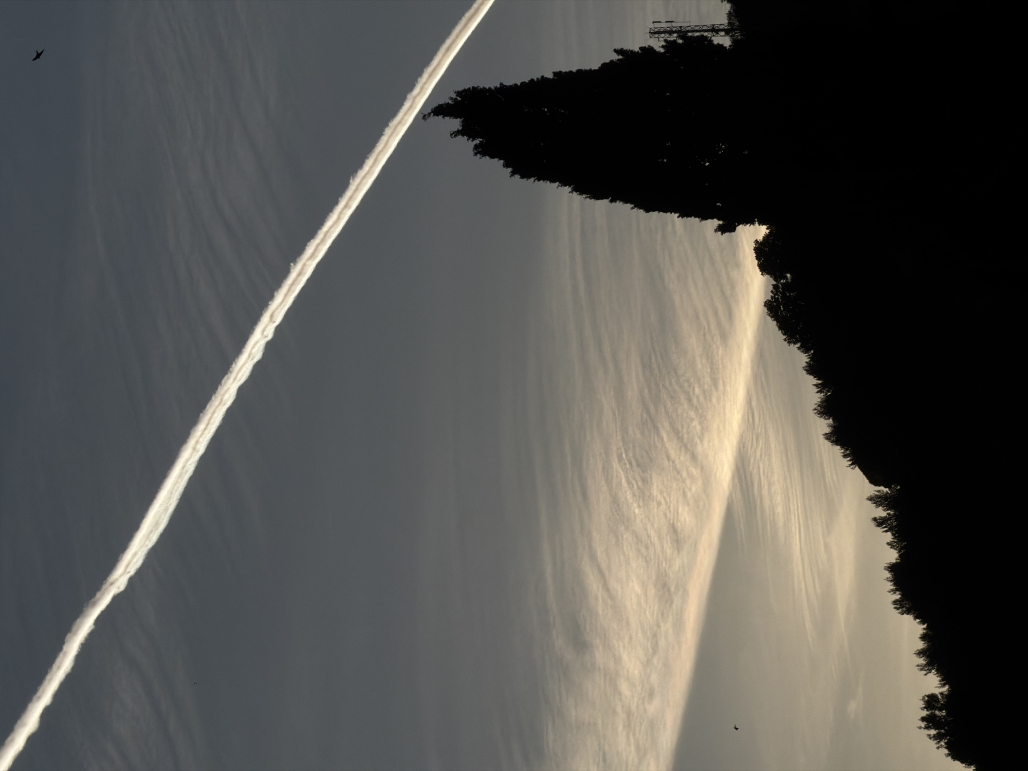 The image shows a sky in Petrovac na Moru, Montenegro. A contrail diagonally crosses the frame from the upper left to the lower right. There is a bird silhouette in the upper left. Silhouetted trees line the upper right and right sides of the image. Linear cloud formations are visible across the sky.