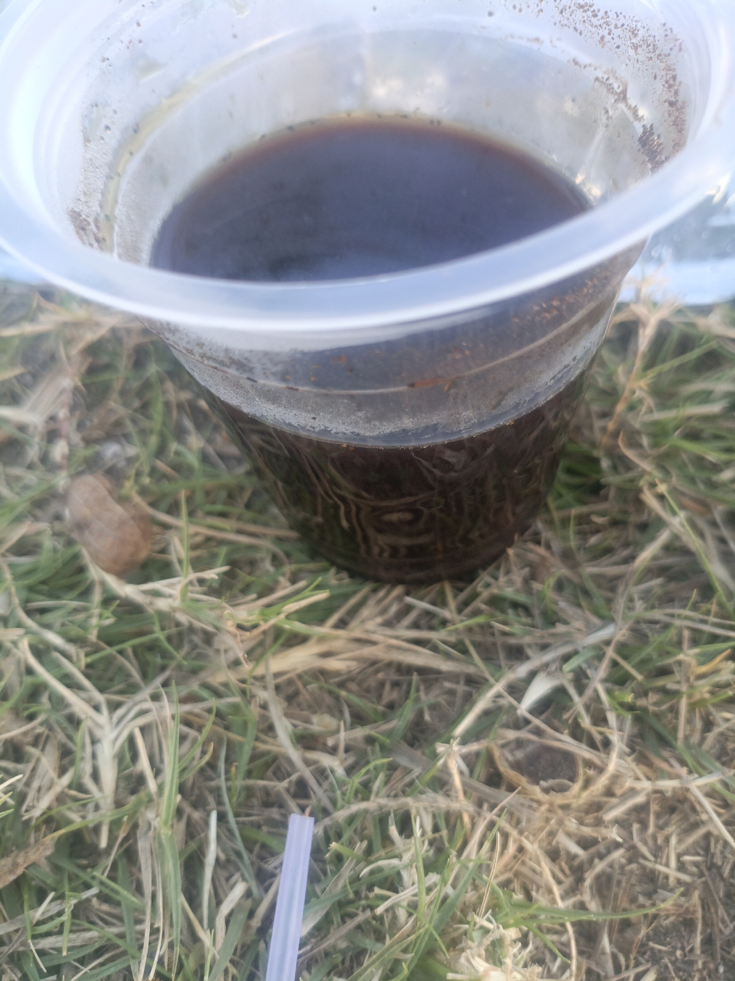 A close-up, high-angle shot shows a clear plastic cup filled with a dark liquid and resting on a patch of dry and green grass. The cup is partially filled, with condensation visible on the inside walls. The liquid appears opaque and dark brown, with some small particles suspended within it. The rim of the cup has a slightly rough texture with a few small dark specks. A pale purple straw is visible lying on the grass to the lower left of the cup. The background is composed of dry and green grass and fallen leaves, suggesting an outdoor environment. The image appears to have been taken in Lewoleba, Indonesia, though no specific landmarks or context are provided to confirm this location. The scene is devoid of any human presence or activity.