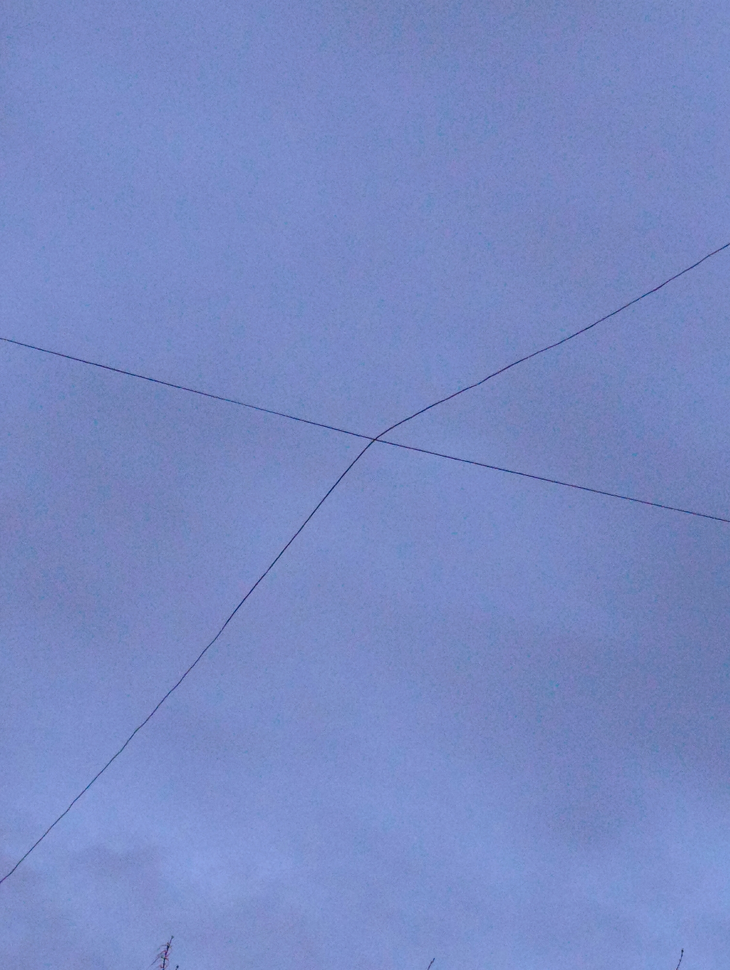 A low-angle shot of a pale blue sky crossed by two black electrical or telephone wires in Kardzhali, Bulgaria. The wires intersect near the center of the frame. The bottom of the image shows outlines of trees and an antenna.