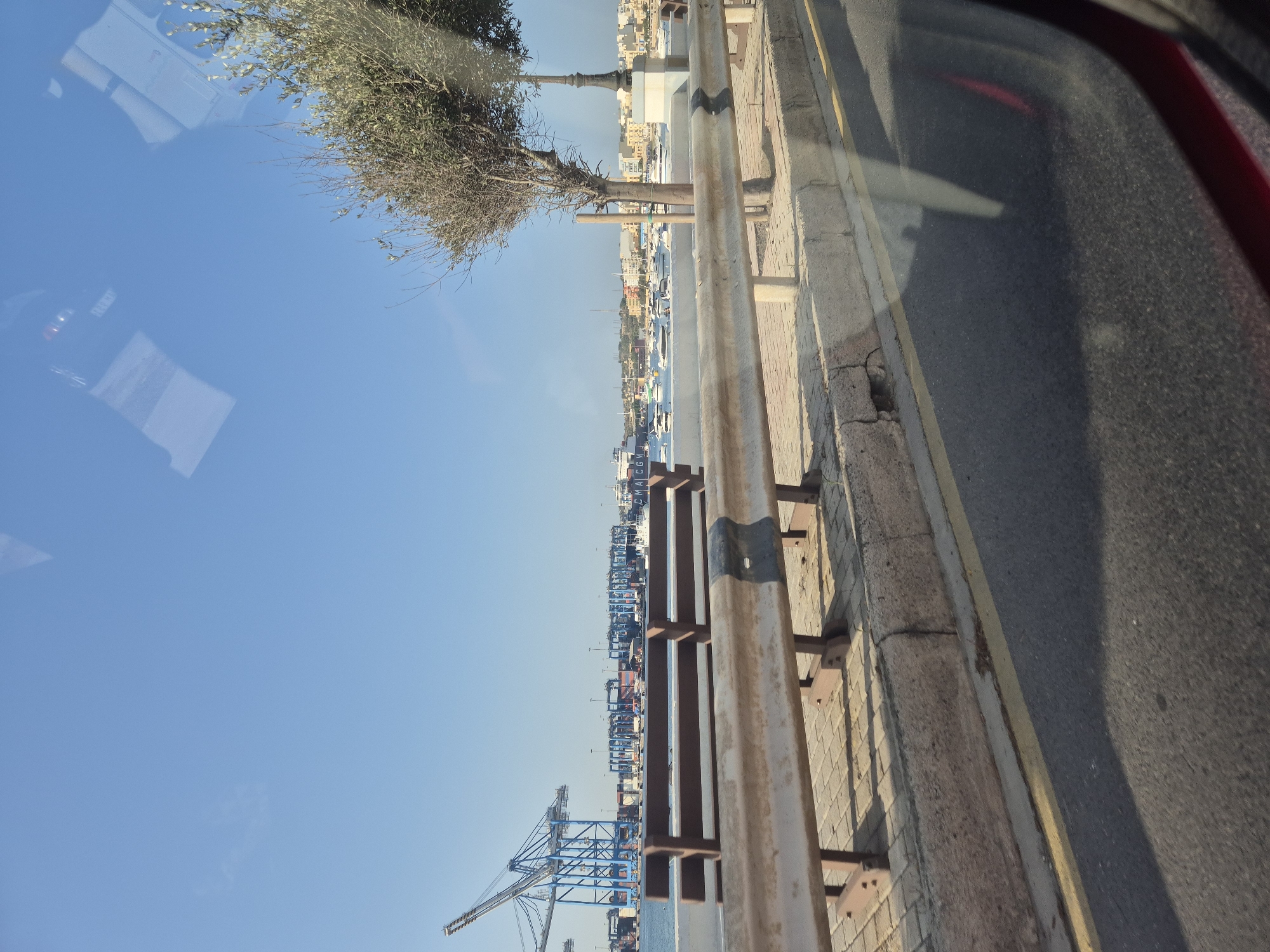 The image depicts a waterfront view in Birżebbuġa, Malta, characterized by a clear blue sky and calm water. In the foreground, a metal guardrail runs horizontally across the scene, with a sidewalk paved with interlocking bricks situated behind it. A wooden bench is visible on the sidewalk. A young olive tree with sparse foliage stands to the right of the bench, beside a lamppost on a white pedestal. Beyond the guardrail and water, a busy port is evident, featuring numerous large blue cranes, shipping containers, and several boats and yachts. The background reveals the cityscape of Birżebbuġa with its buildings. Reflections on the glass in the foreground suggest the photo was taken from inside a vehicle.