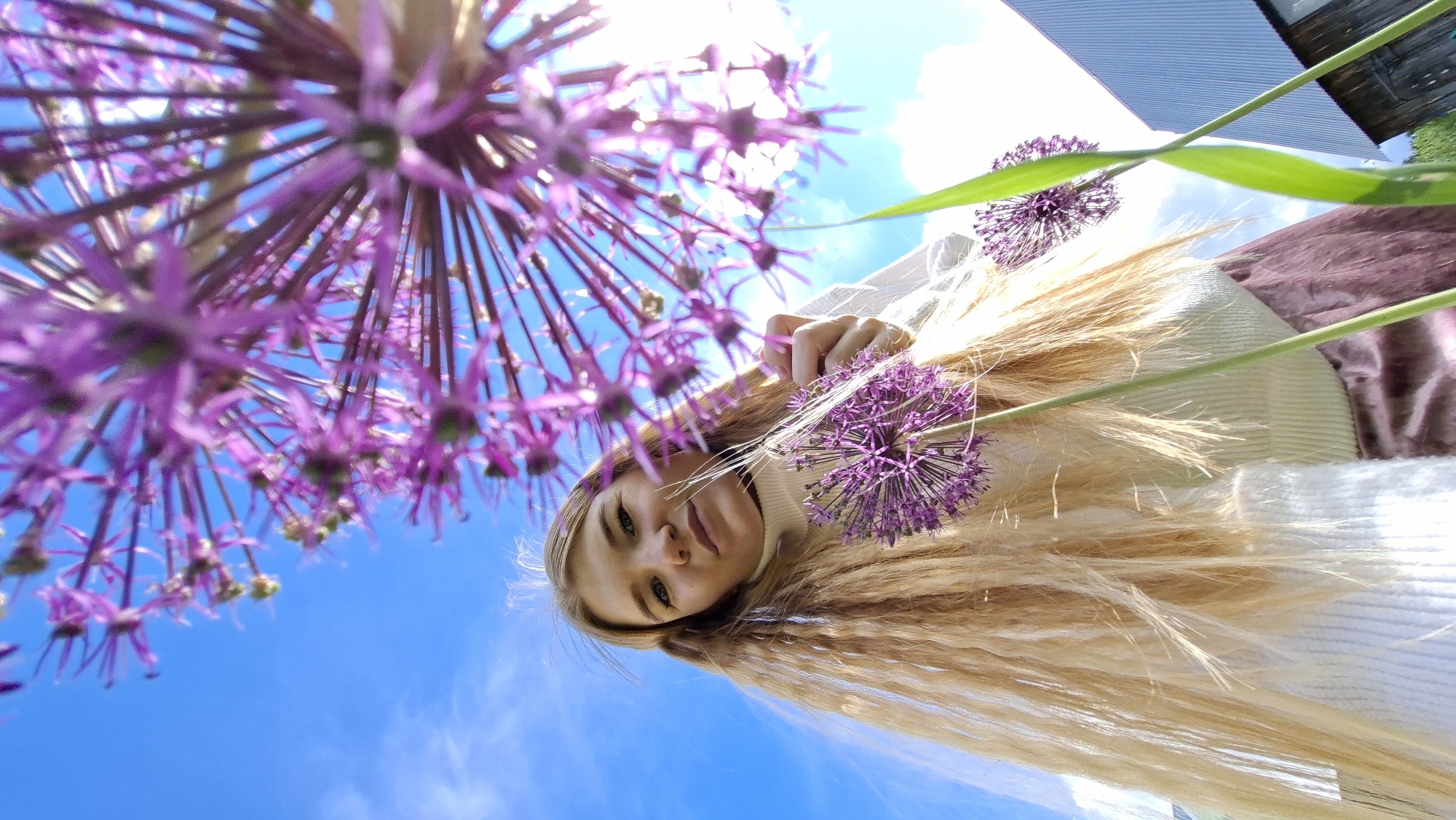 This low-angle photograph captures a young woman and vibrant purple allium flowers against a bright blue sky. The camera looks upwards, creating a dynamic perspective where the subject appears to be above the viewer.
The primary subject is a young woman with long, flowing blonde hair, which spreads across the right side of the frame. Her face is visible in the bottom-center, looking directly at the camera with a subtle, serene smile. She is wearing a light-colored (likely cream or white) turtleneck sweater. A portion of a dark pink or mauve garment is visible on the far right.
Prominently featured are large, spherical purple allium flowers. A large, out-of-focus bloom occupies the top-left, while the woman holds another distinct allium flower near her face on the right. Green stems and leaves cut across the frame, adding natural elements.
The background is a clear, bright blue sky with a few wispy white clouds, indicating sunny daytime conditions. In the upper right, parts of a building with a textured, possibly corrugated metal roof and some wooden structures are visible. This scene is set outdoors, likely in a garden or natural area in Большой Букор, Russia. No text is visible in the image.