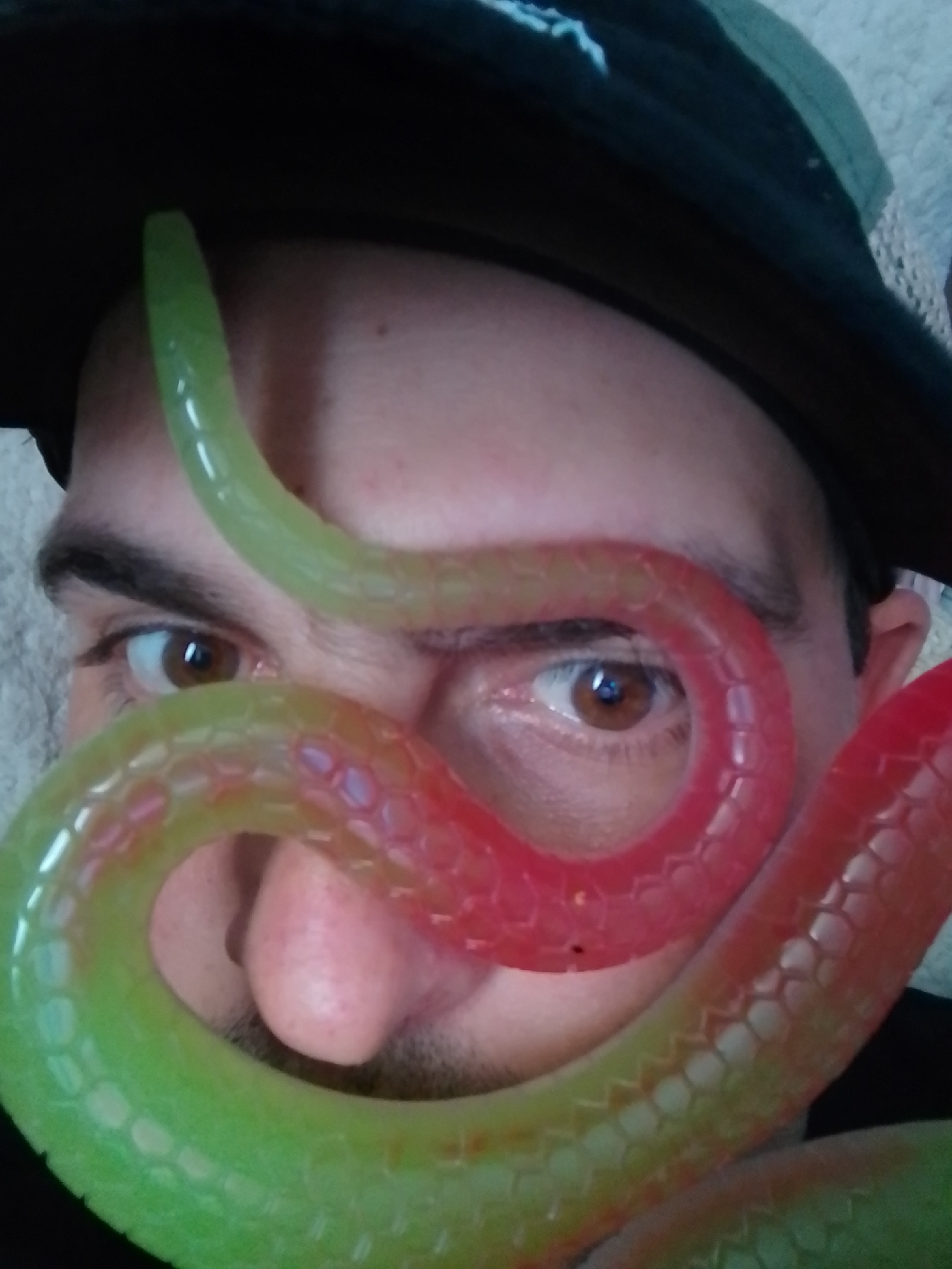 A close-up, eye-level, indoor portrait shows a person wearing a black hat and a green and red segmented toy snake draped over their face, obscuring their nose and parts of their eyes. The toy snake's segments are hexagonal and appear to be made of flexible plastic. The person's left eye, which is brown, is visible to the left, and their right eye, also brown, is visible to the right. Their eyebrows are dark and somewhat bushy. The background is out of focus, with a textured gray surface visible to the right. There are no identifiable landmarks or indications of the city of Wedel, Germany, in the image.