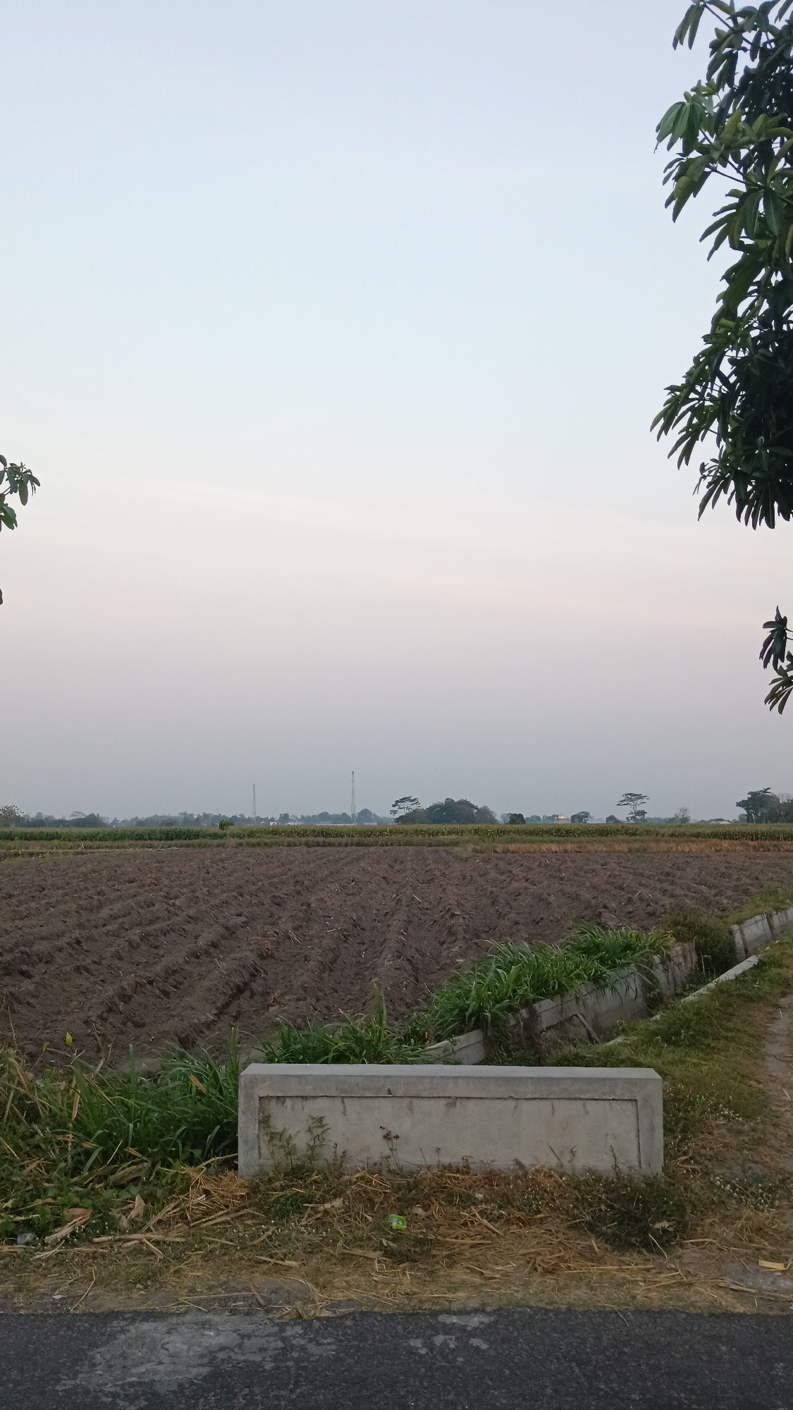 This is a vertical, eye-level, full-shot photograph taken at dusk in Nambaan, Indonesia. The foreground shows a paved surface, likely a road or pathway, with dry grass and some green foliage along its edge. A concrete trough or channel runs diagonally across the mid-ground, bordering a tilled field of dark brown soil. The field appears to be recently plowed, with visible rows and furrows. Beyond the field, a distant horizon is dotted with trees and some man-made structures, including what appear to be communication towers. The sky is a pale, hazy gradient of light blue and pink, characteristic of twilight. Lush green foliage from trees frames the top right and top left corners of the image. There are no people or animals visible in the scene. The overall impression is one of rural tranquility at the end of the day.