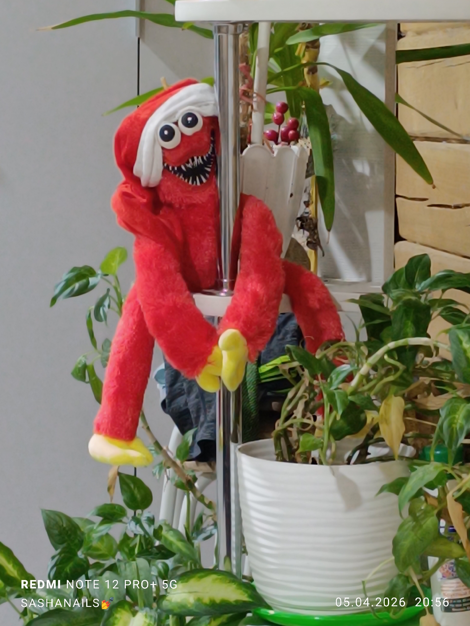 A close-up shot shows a red, plush toy monster hanging from a metal stand amongst various potted plants. The toy has large, white eyes, a white headband, and a mouth full of jagged teeth. It is bright red, with yellow hands and feet. The metal stand is silver and reflects the light. The surrounding plants include a variety of leafy greens in white pots. The image was captured on a Redmi Note 12 Pro+ 5G mobile device and the timestamp indicates it was taken on May 4th, 2026, at 20:56. The image has watermark text on the bottom. It is hard to determine the exact location in the city of Chaikovsky, Russia.